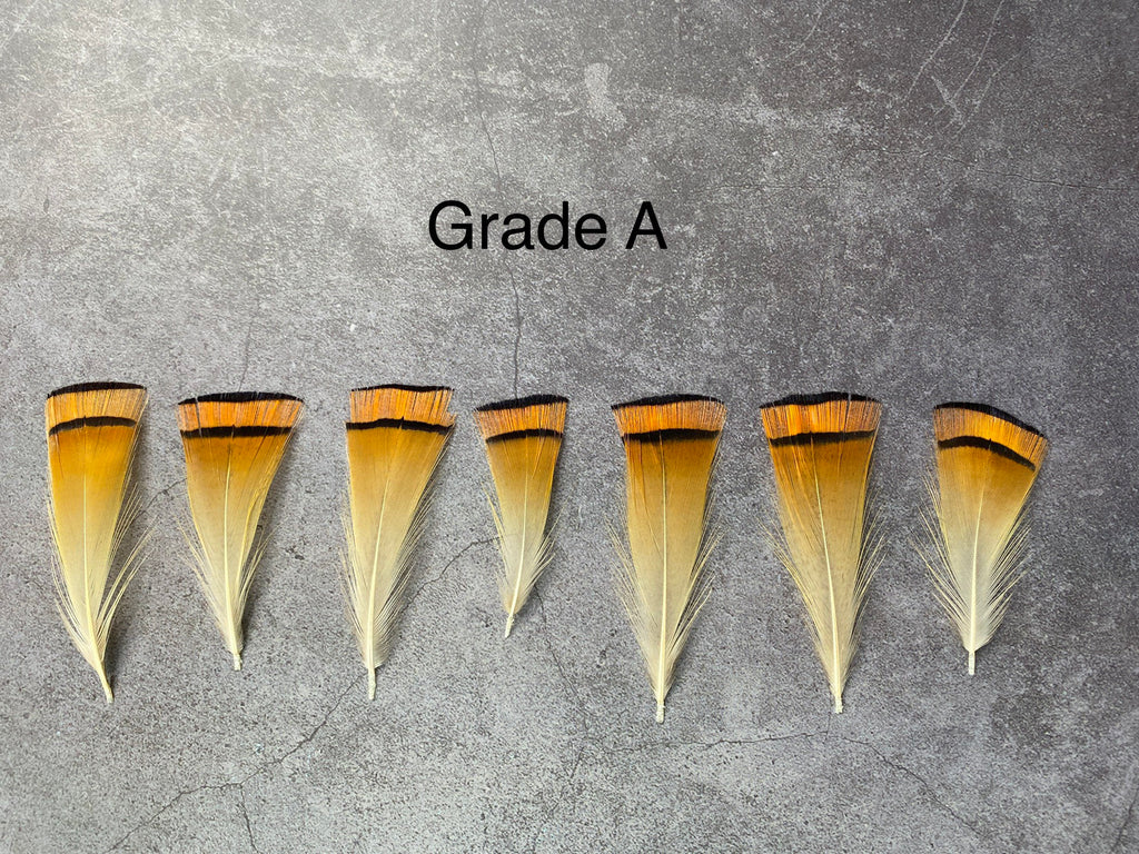 Golden orange pheasant feathers - 3-7cm, 1-3", FREE SHIPPING available, Natural feathers for crafts DIY makers, hat makers, dream catchers