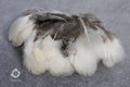 White tip Pheasant feathers, 1-3 inches, 4-8 cm