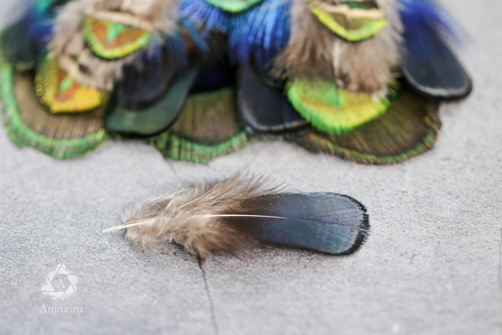 20 Pack of Peacock and Pheasant Feathers, 3-7 cm, 1-3"