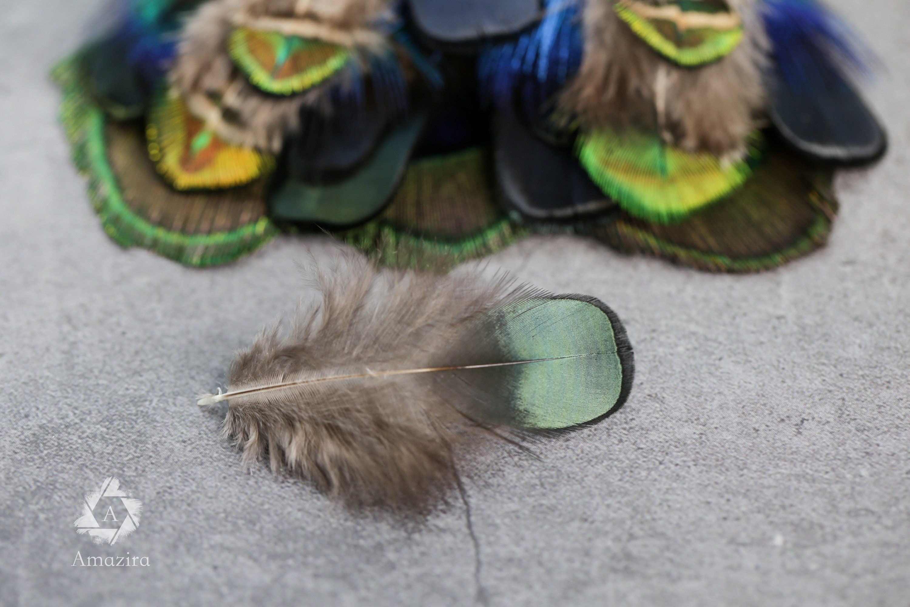 20 Pack of Peacock and Pheasant Feathers, 3-7 cm, 1-3"