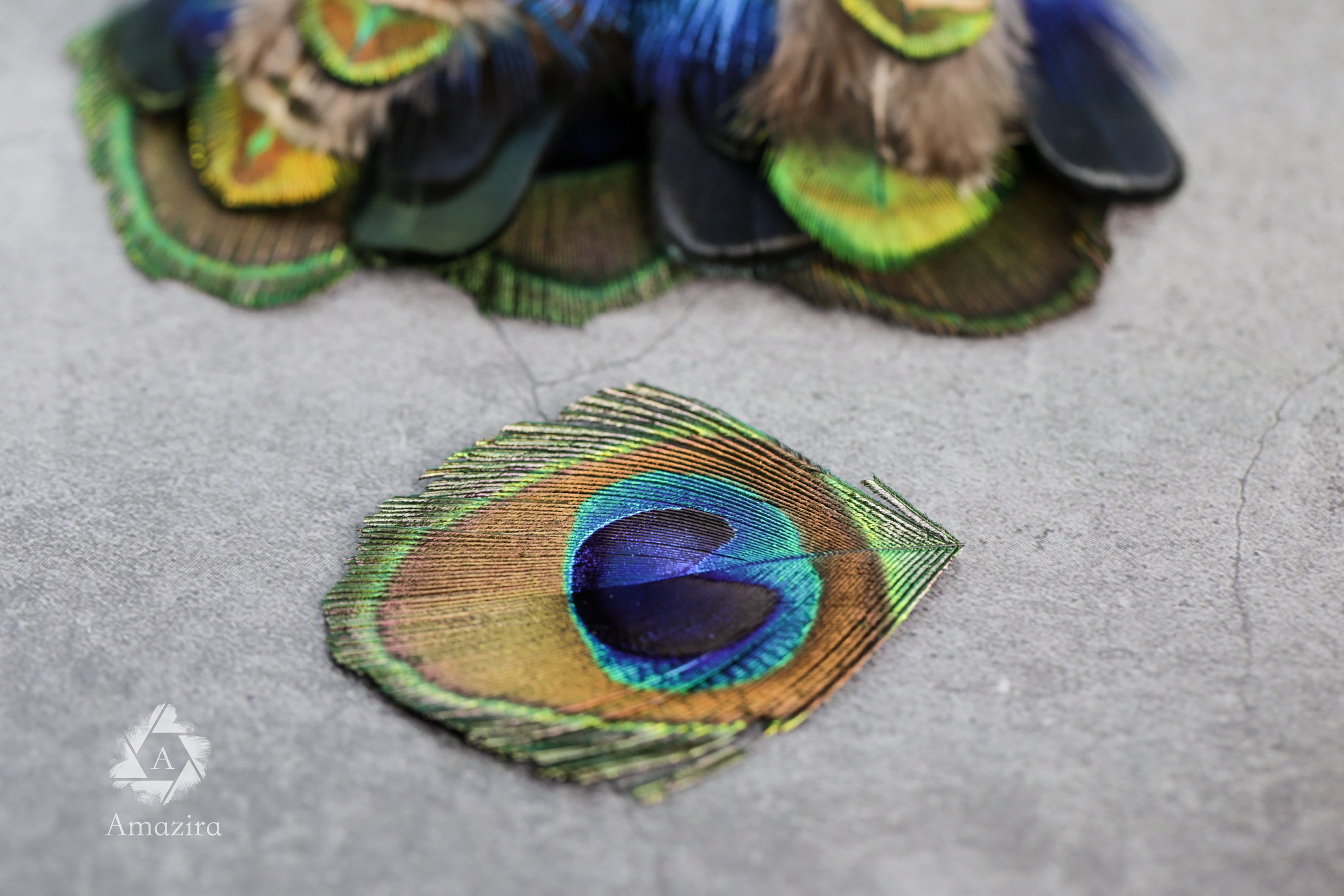 20 Pack of Peacock and Pheasant Feathers, 3-7 cm, 1-3"