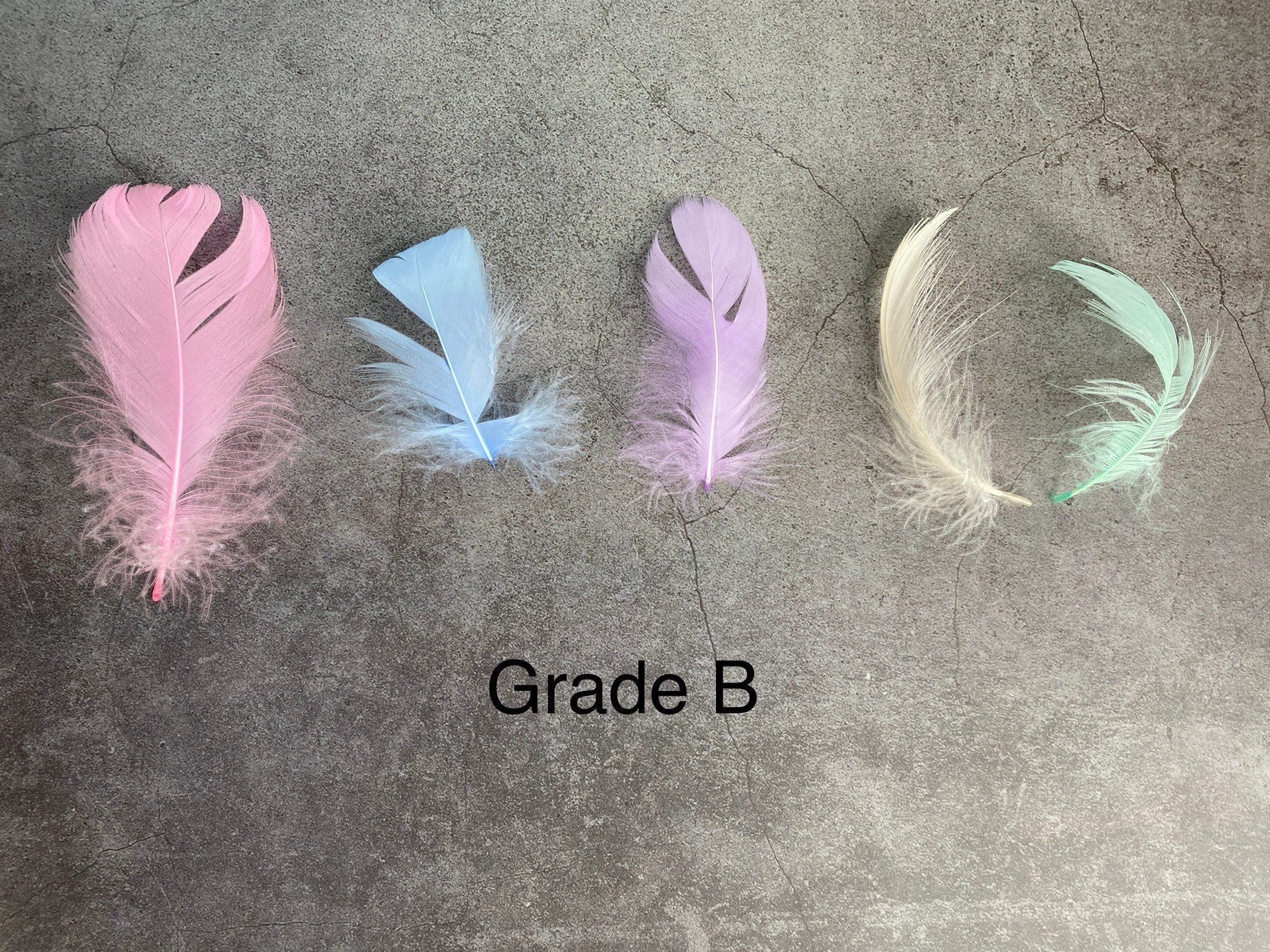 100 FEATHERS! CLEARANCE Last Chance! Baby colour feathers, Nagori goose feathers, Unicorn, 7-12 CM , 3-5 inches, blue, pink, purple, white