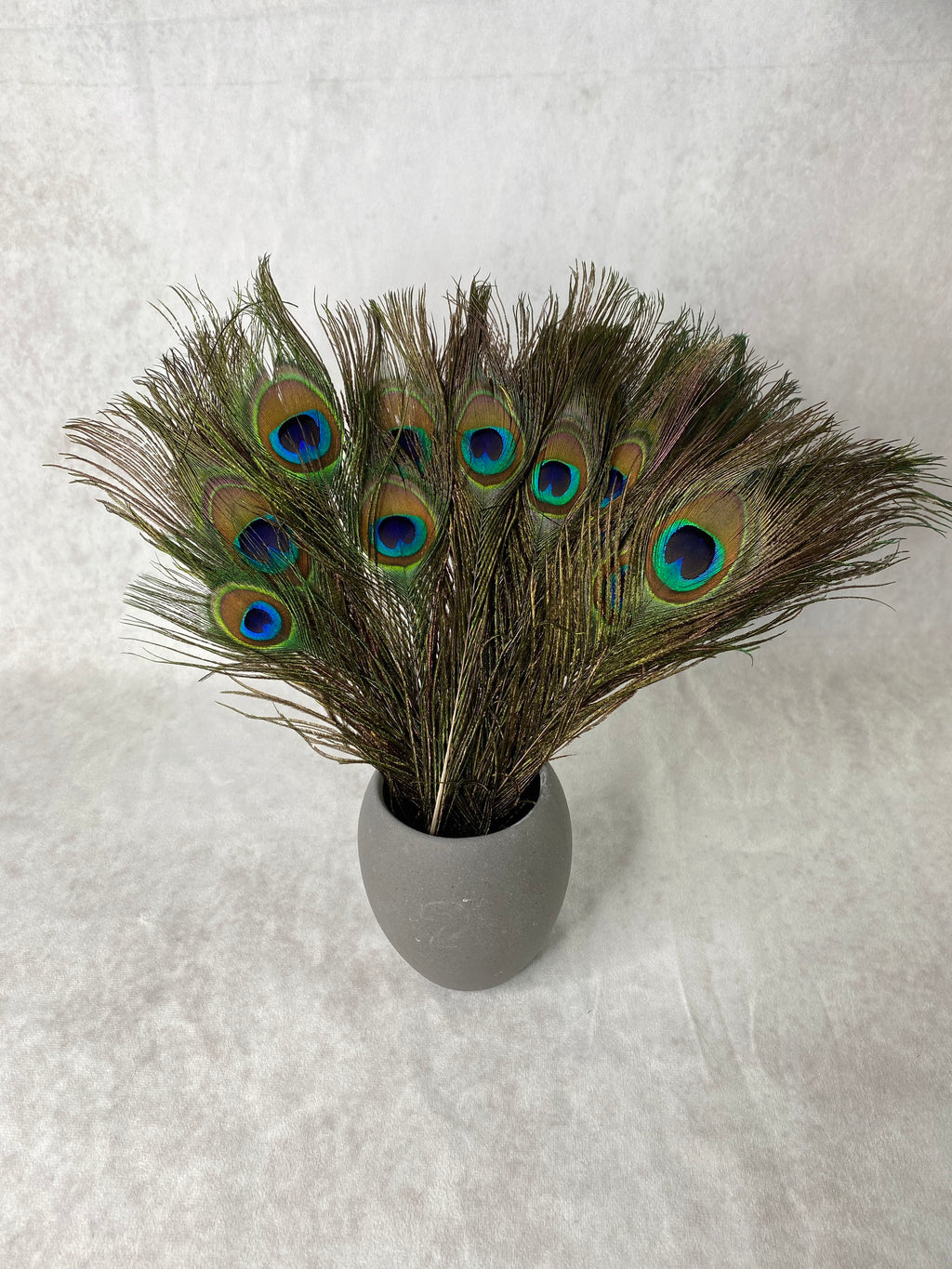 Long Peacock feathers, 10-11, 25-29 cm