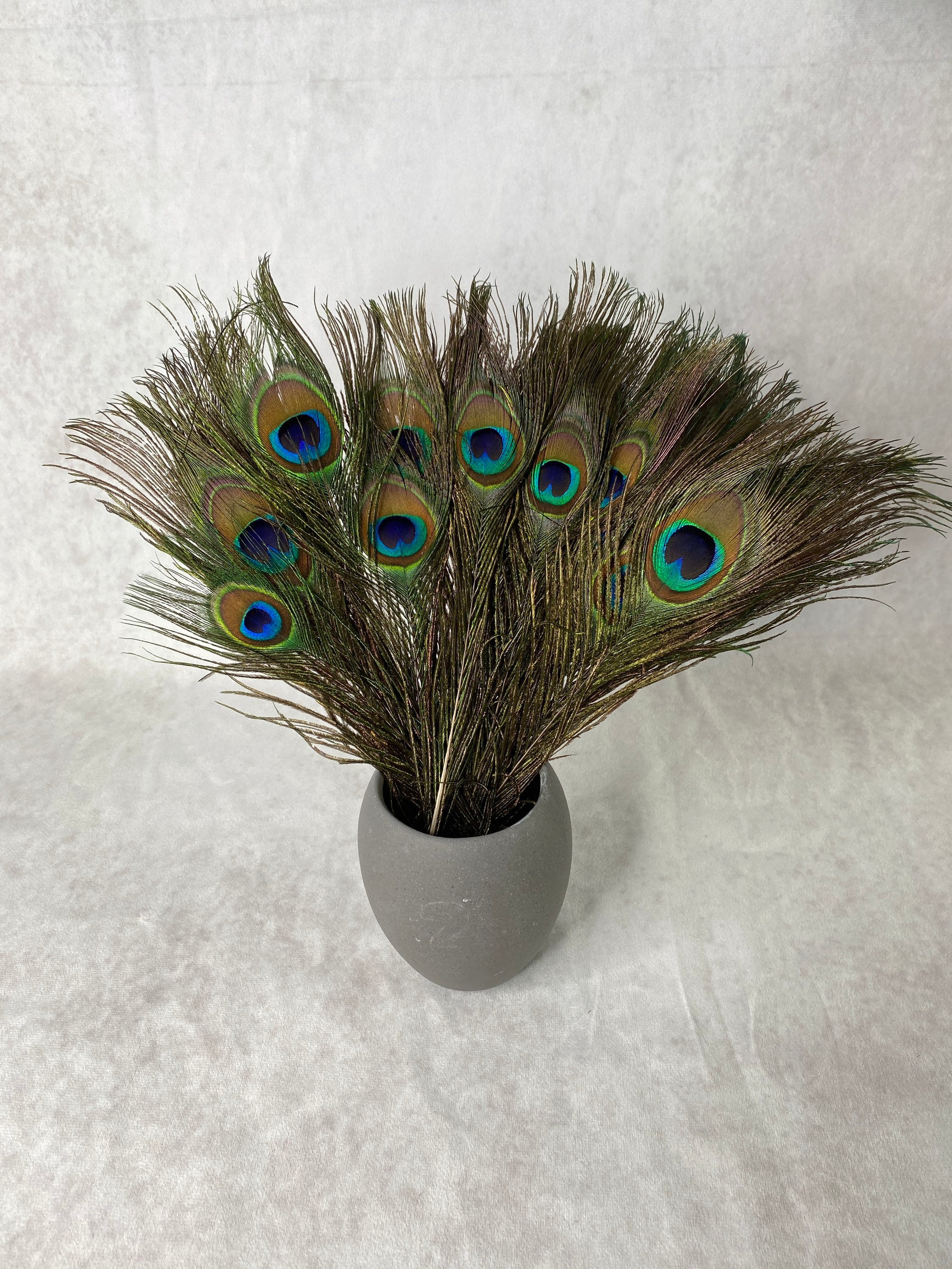 Long Peacock feathers, 10-11, 25-29 cm