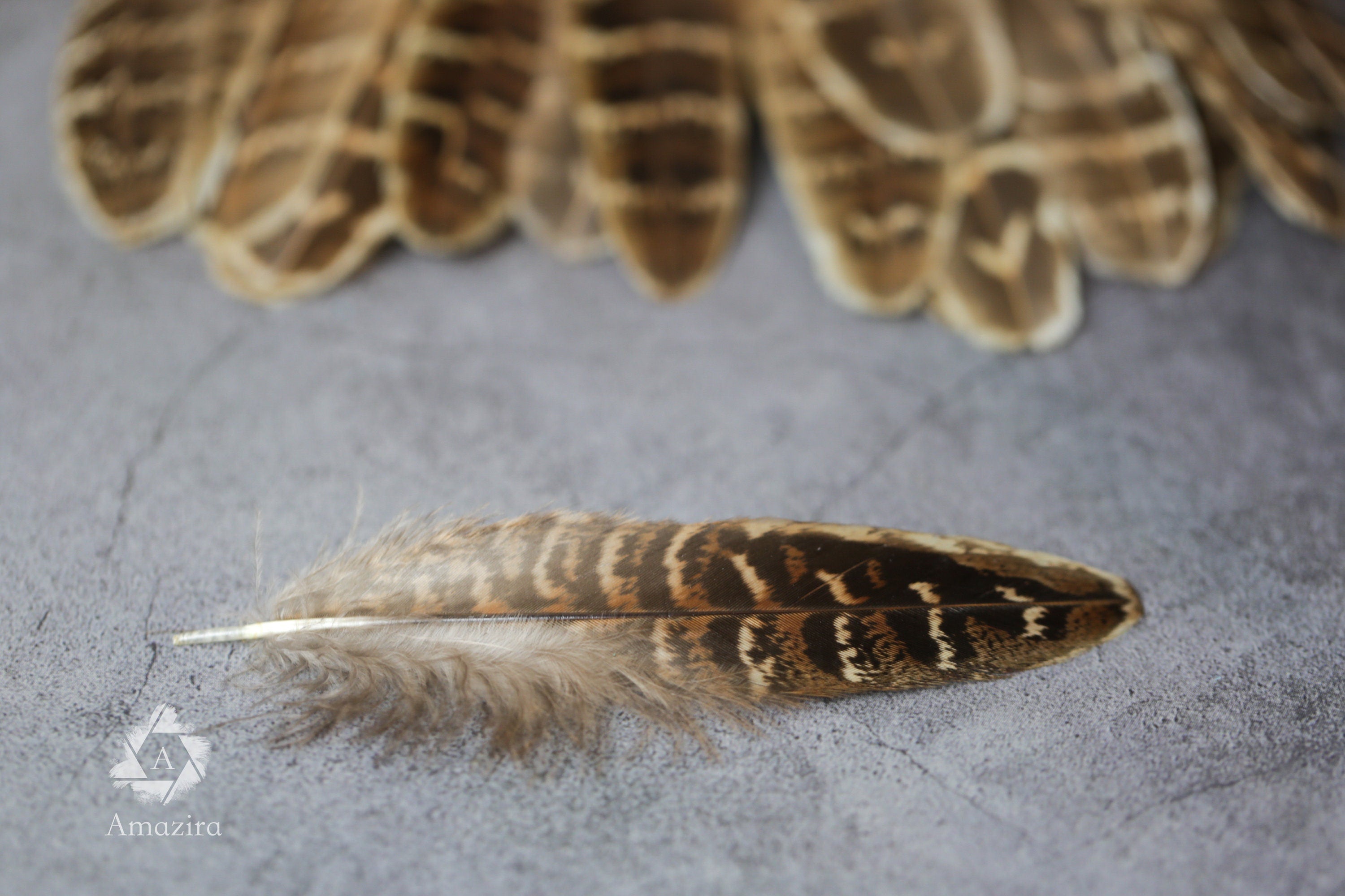 CLEARANCE! Stripped Brown Pheasant feathers, 13-16cm, 5-7", Medium sized natural brown stripped feather, DIY makers crafters, home decor,