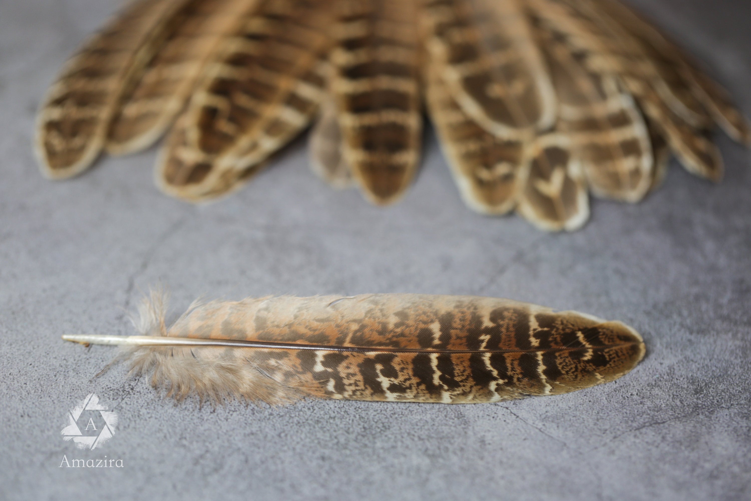 CLEARANCE! Stripped Brown Pheasant feathers, 13-16cm, 5-7", Medium sized natural brown stripped feather, DIY makers crafters, home decor,