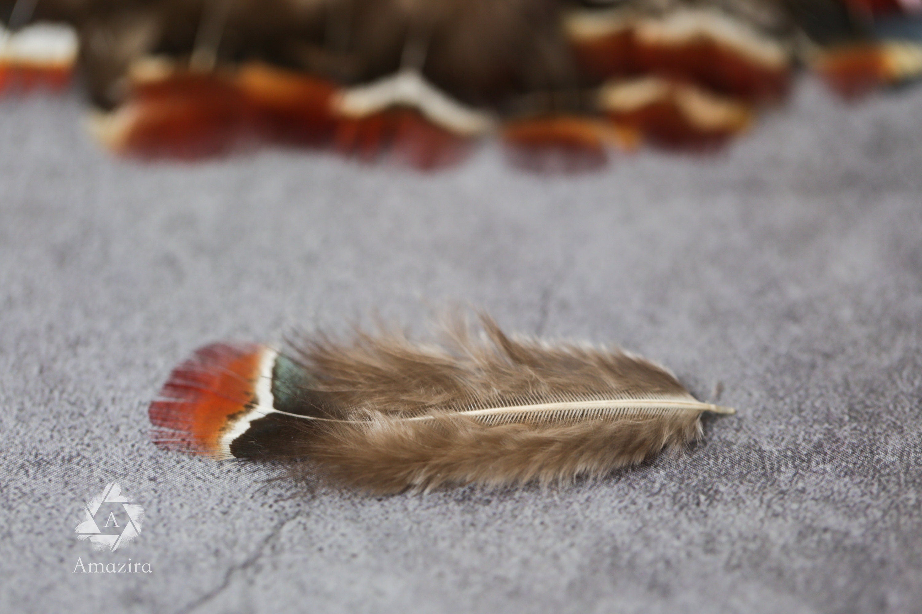 Loose red natural pheasant feathers, 1-3", 3-7 cm