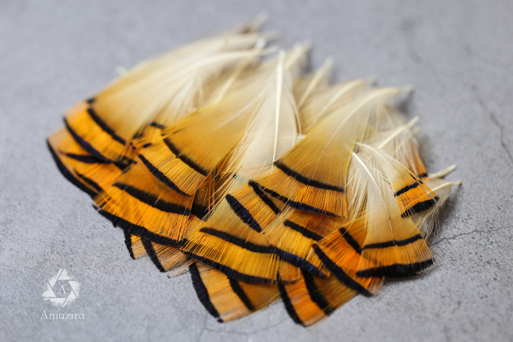 Golden orange pheasant feathers - 3-7cm, 1-3", FREE SHIPPING available, Natural feathers for crafts DIY makers, hat makers, dream catchers