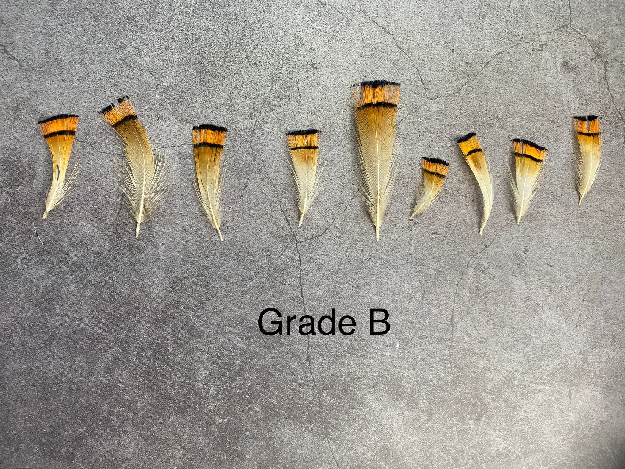 Golden orange pheasant feathers - 3-7cm, 1-3", FREE SHIPPING available, Natural feathers for crafts DIY makers, hat makers, dream catchers