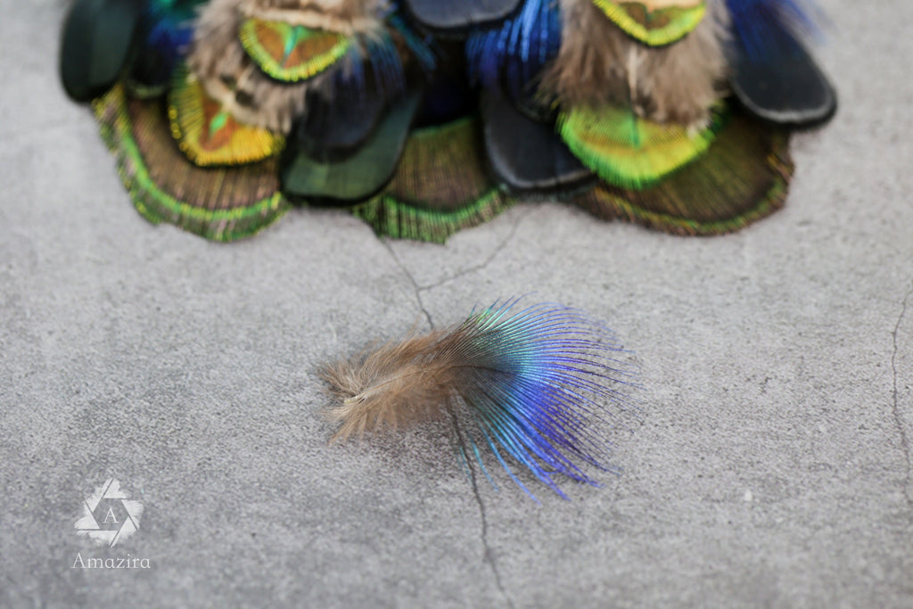 20 Pack of Peacock and Pheasant Feathers, 3-7 cm, 1-3"