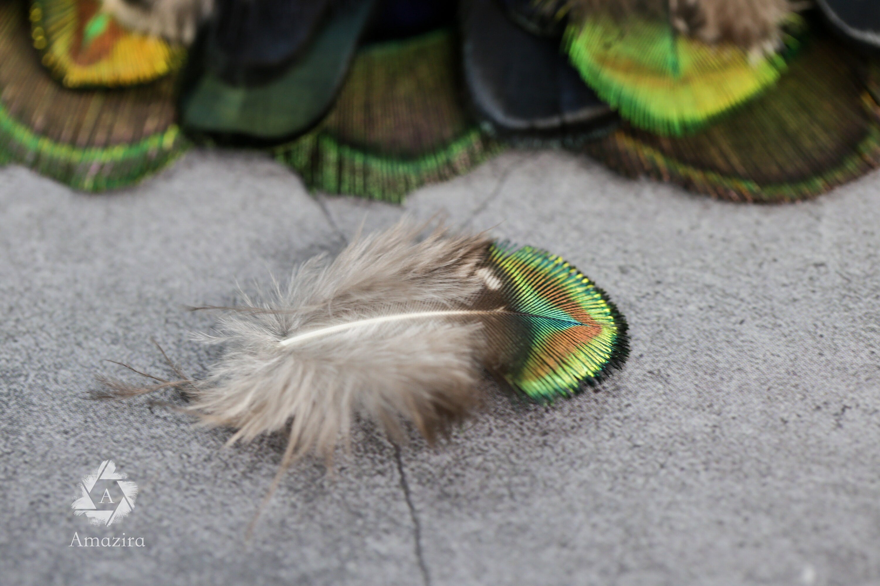 20 Pack of Peacock and Pheasant Feathers, 3-7 cm, 1-3"