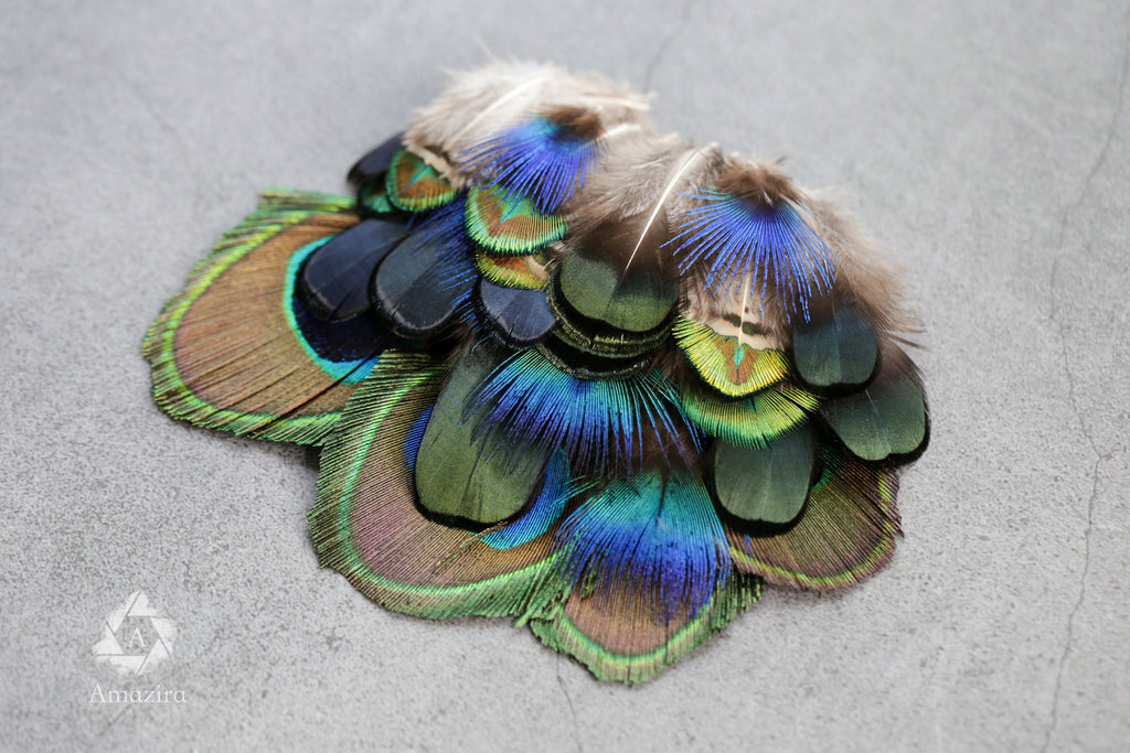20 Pack of Peacock and Pheasant Feathers, 3-7 cm, 1-3"