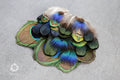 20 Pack of Peacock and Pheasant Feathers, 3-7 cm, 1-3"