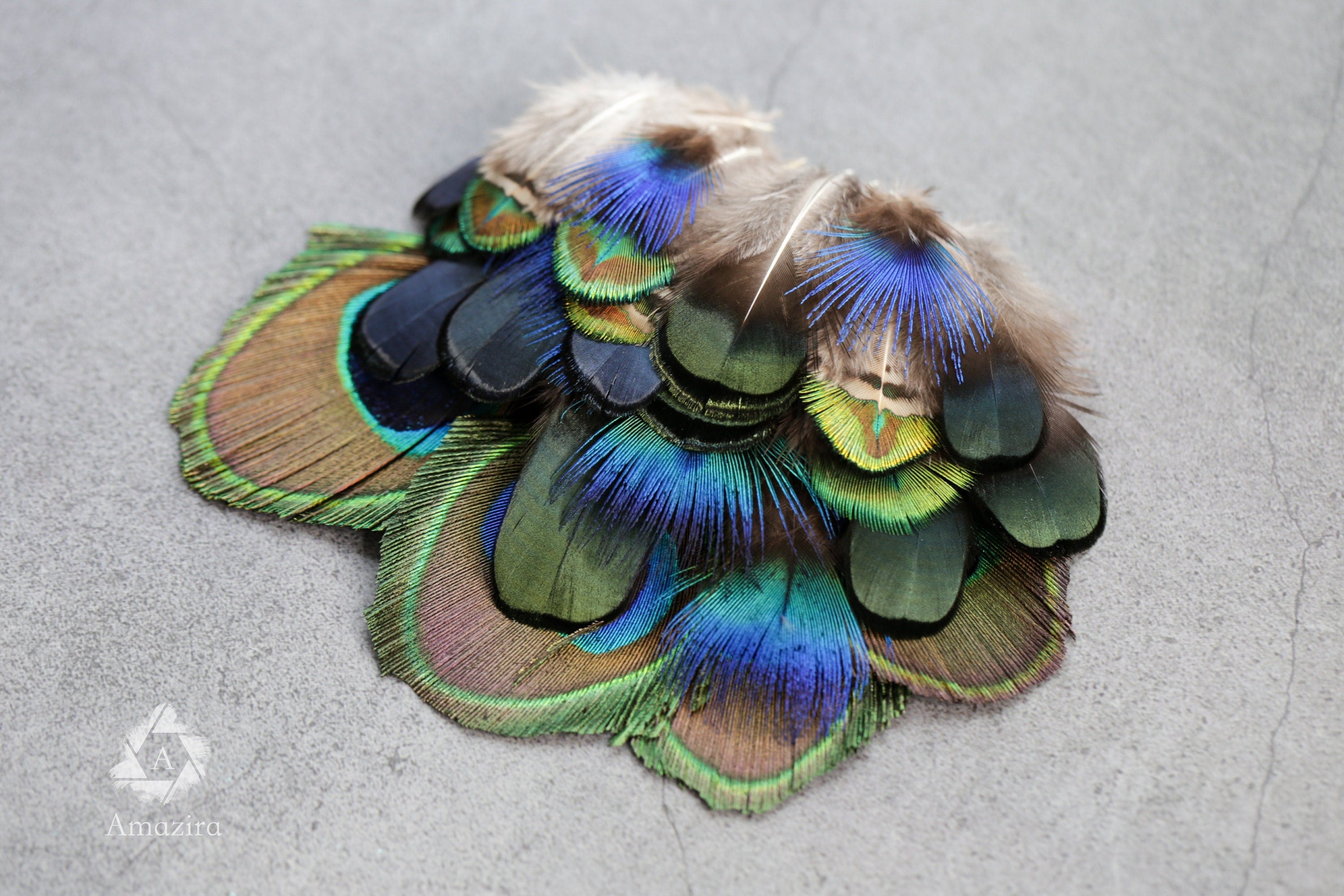 20 Pack of Peacock and Pheasant Feathers, 3-7 cm, 1-3"