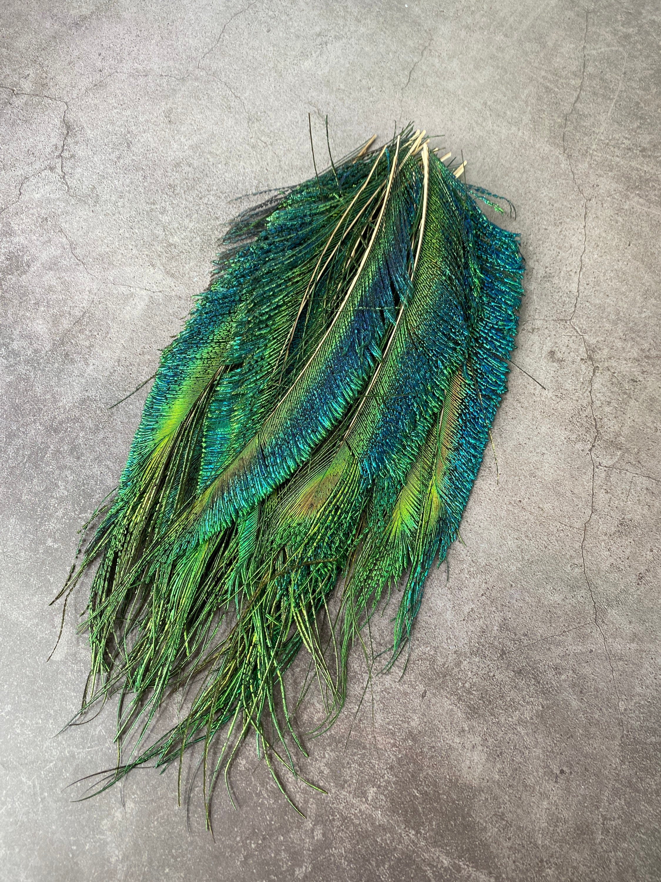 Long trimmed Peacock feathers, 10-14, 25-32 cm