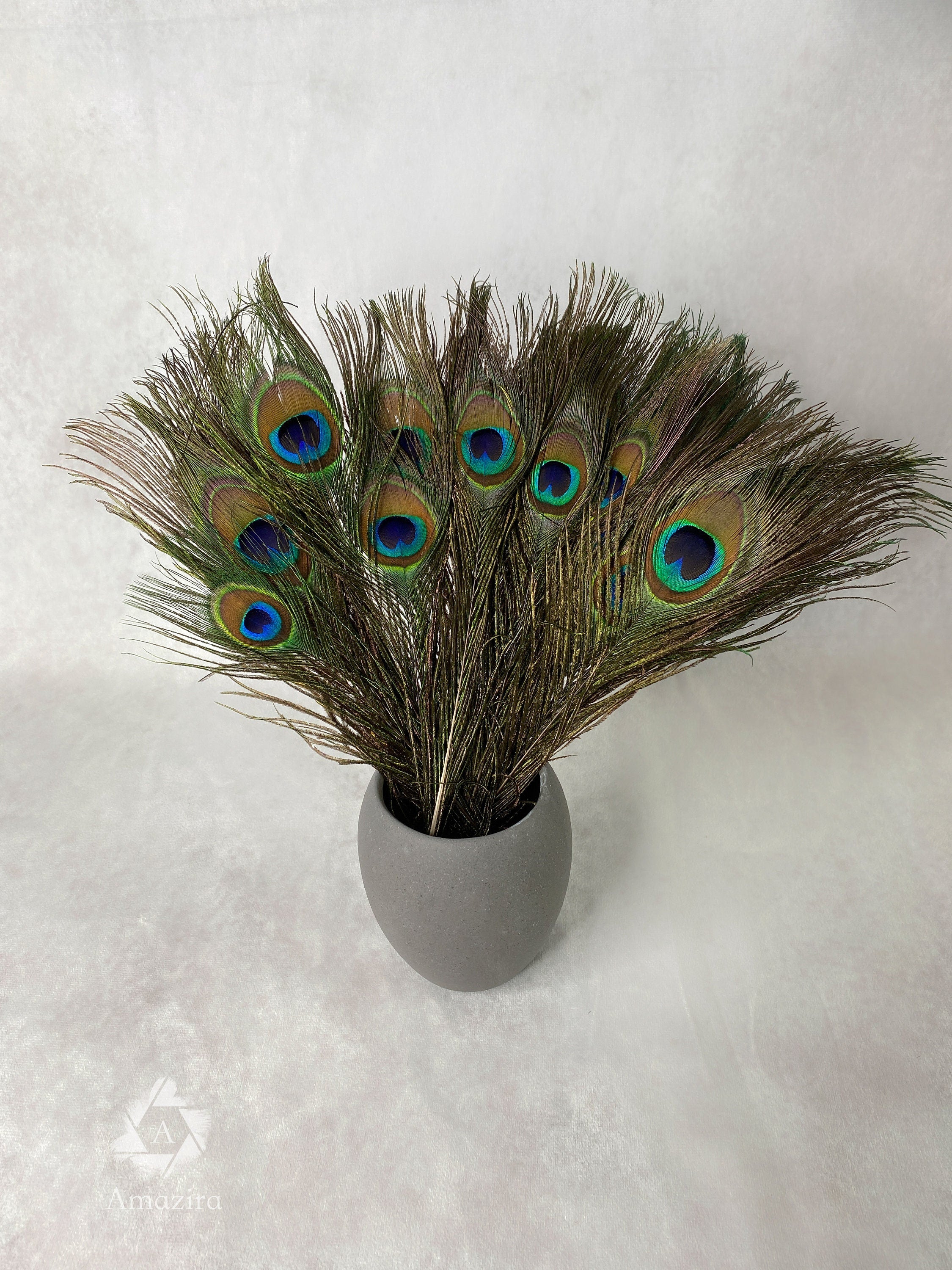 Long Peacock feathers, 10-11, 25-29 cm
