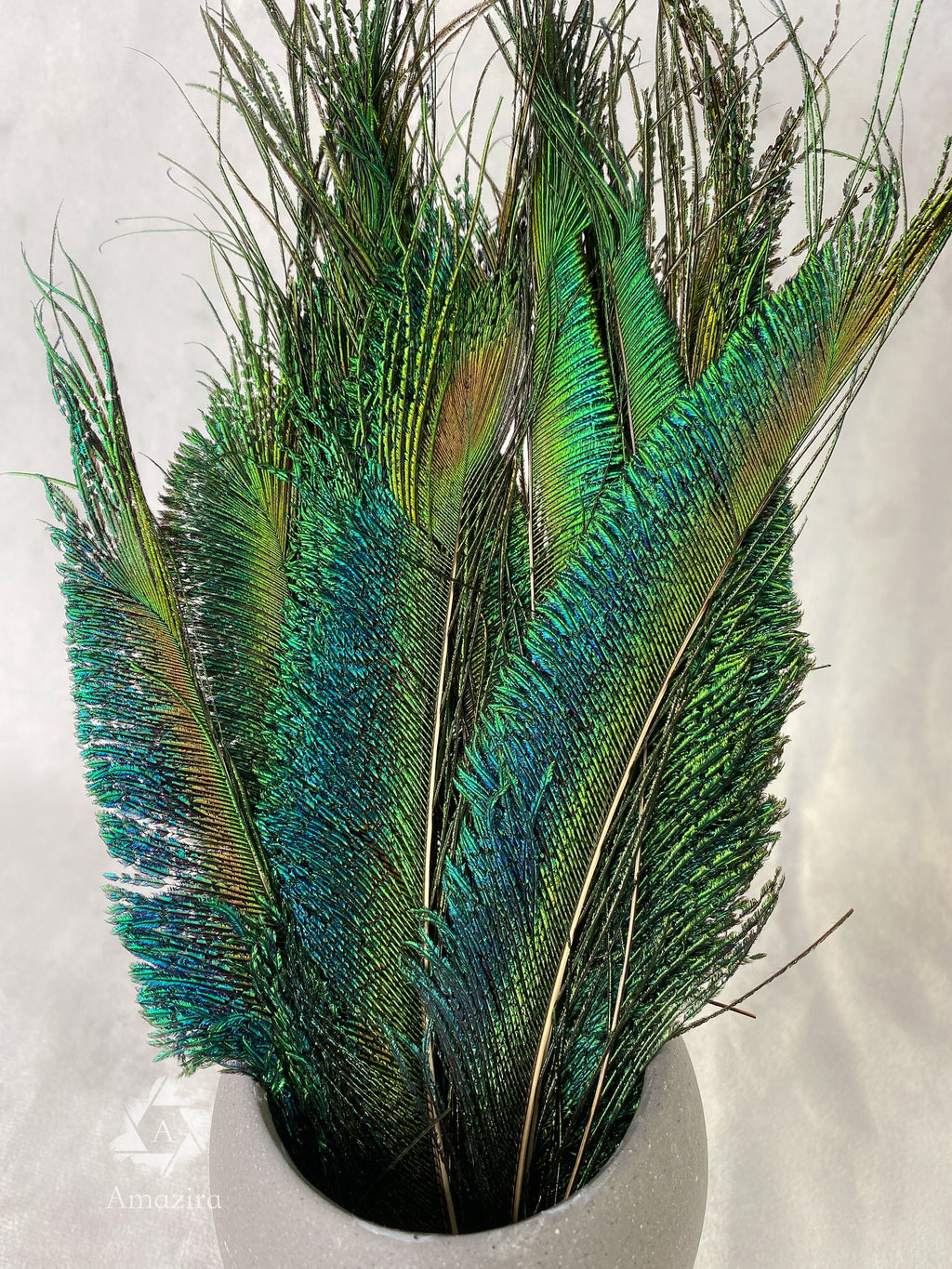 Long trimmed Peacock feathers, 10-14, 25-32 cm