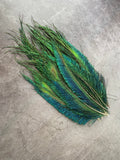 Long trimmed Peacock feathers, 10-14, 25-32 cm