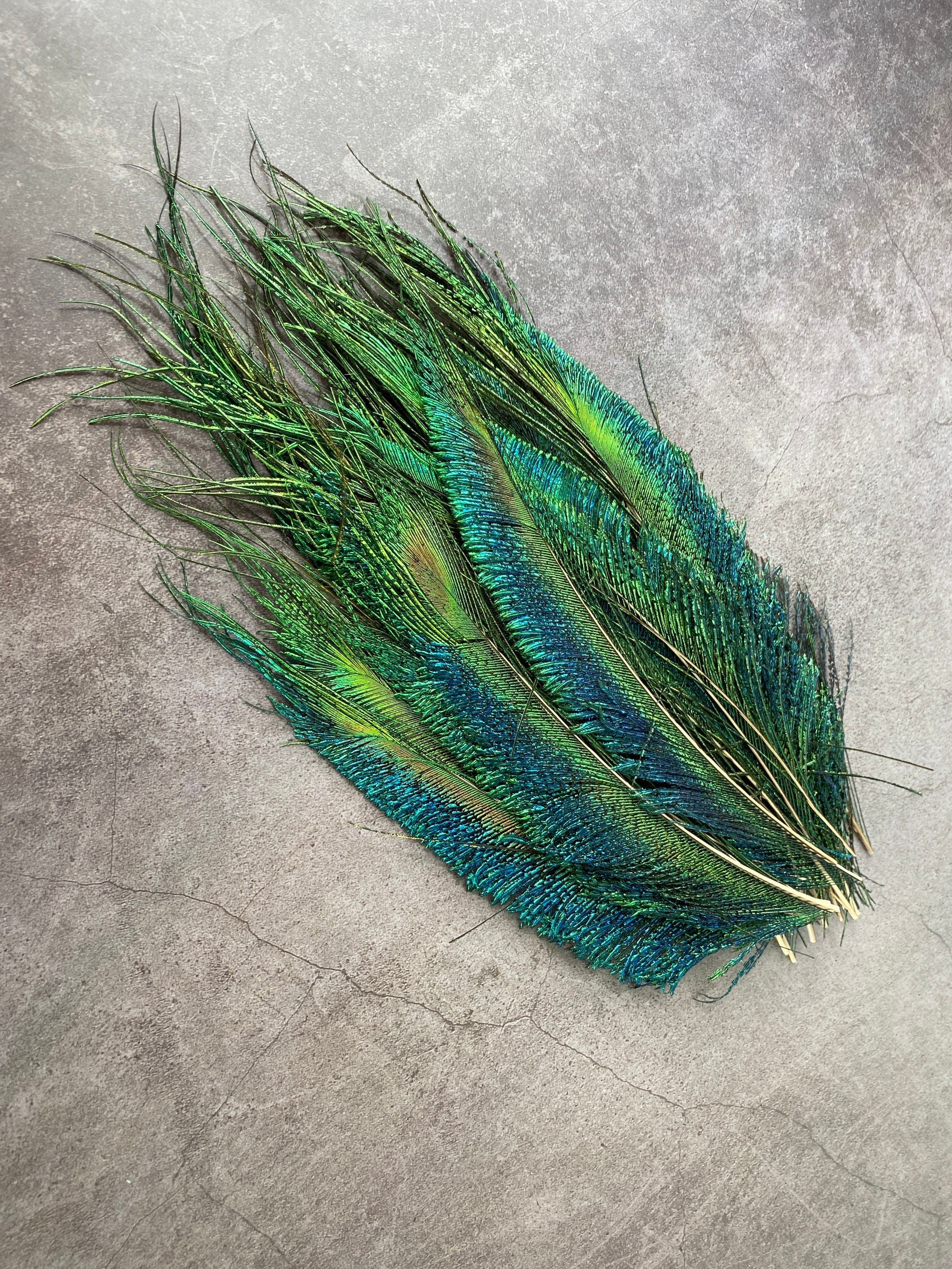 Long trimmed Peacock feathers, 10-14, 25-32 cm, FREE SHIPPING available, Natural colourful iridescent, Green Peacock Plumage, home decor