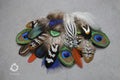 20 Mixed feather bag, Pheasant & Peacock Collection