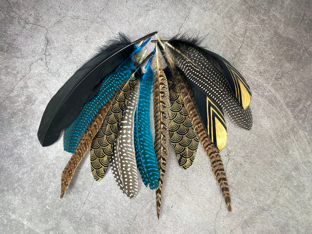 Collection of Large 12 Pheasant and Goose feathers