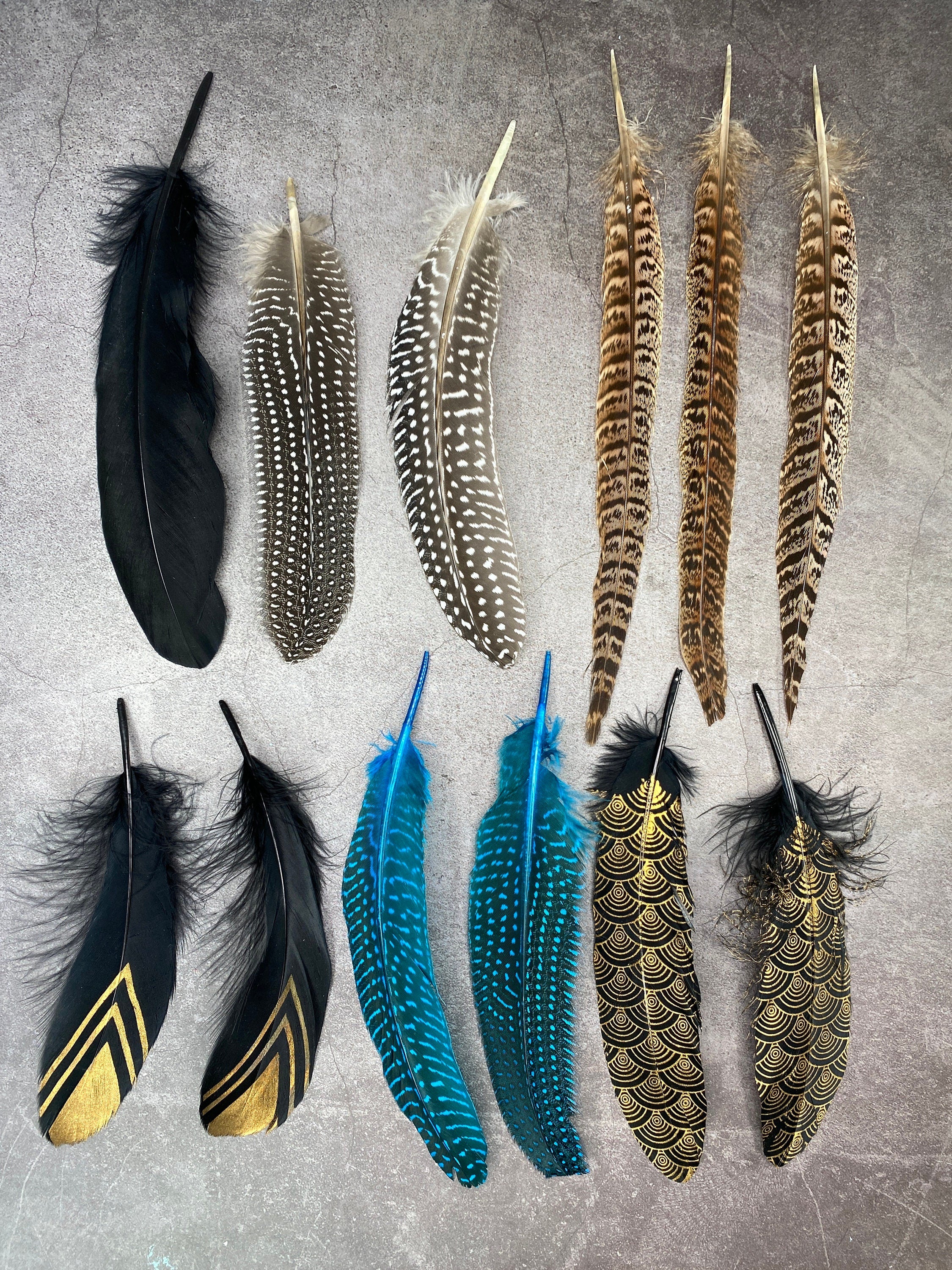 Collection of Large 12 Pheasant and Goose feathers
