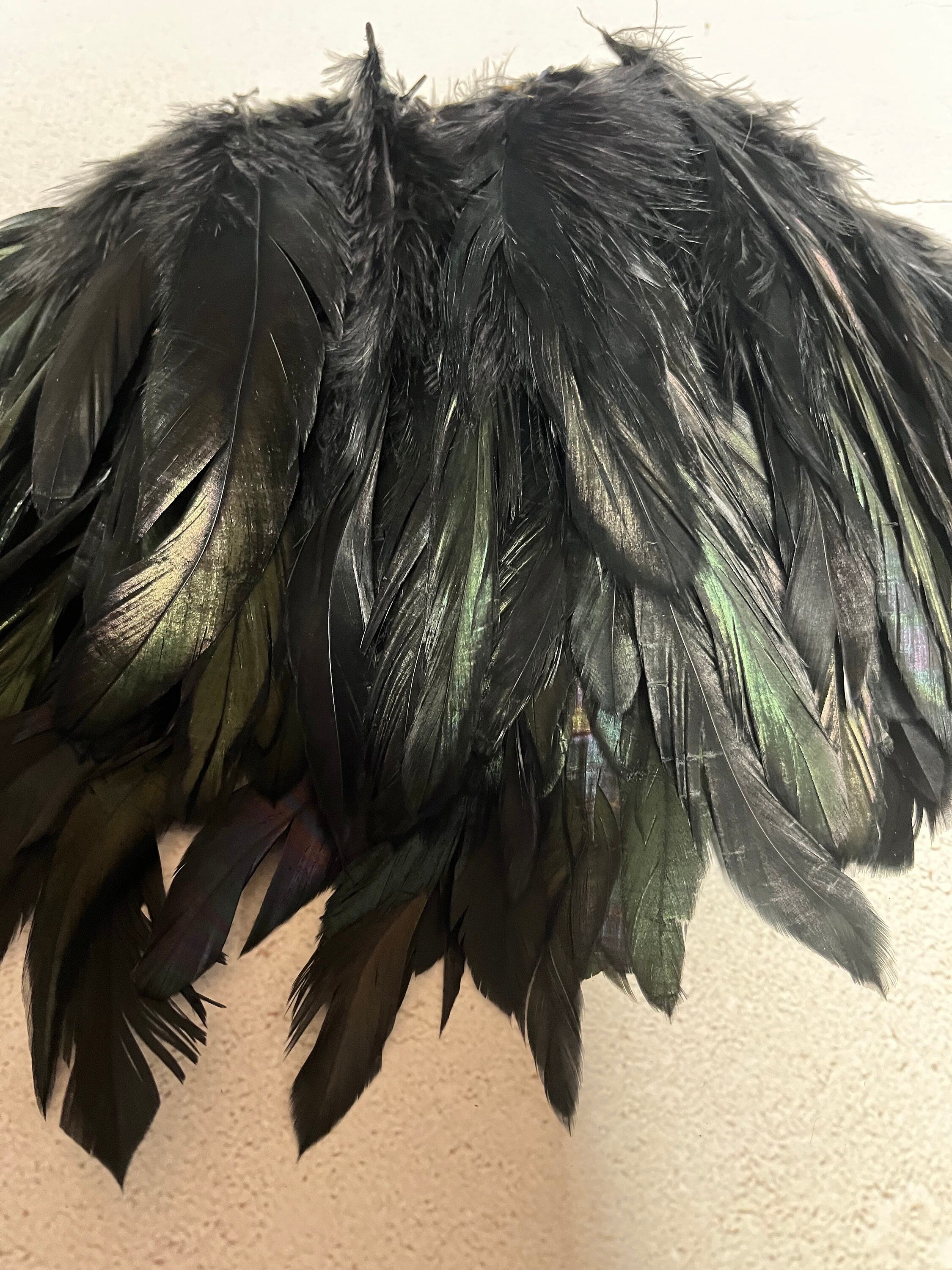 100 defective rooster feathers