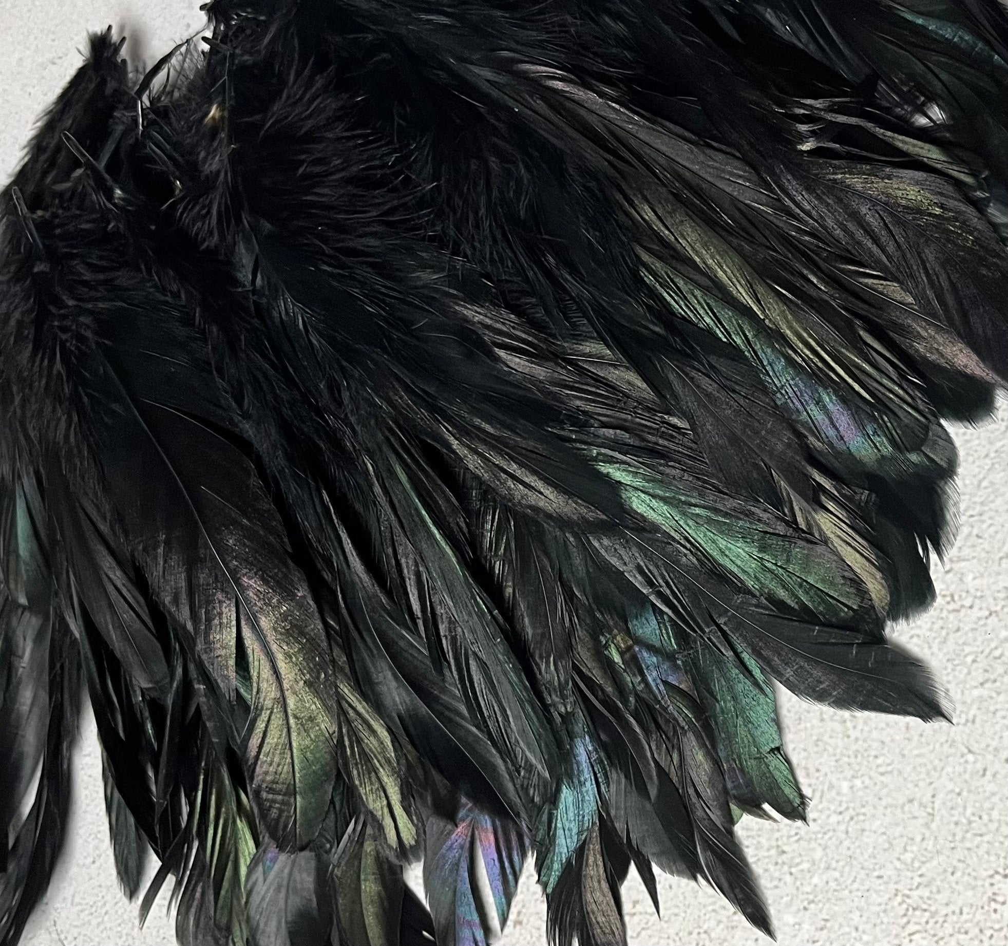 100 defective rooster feathers