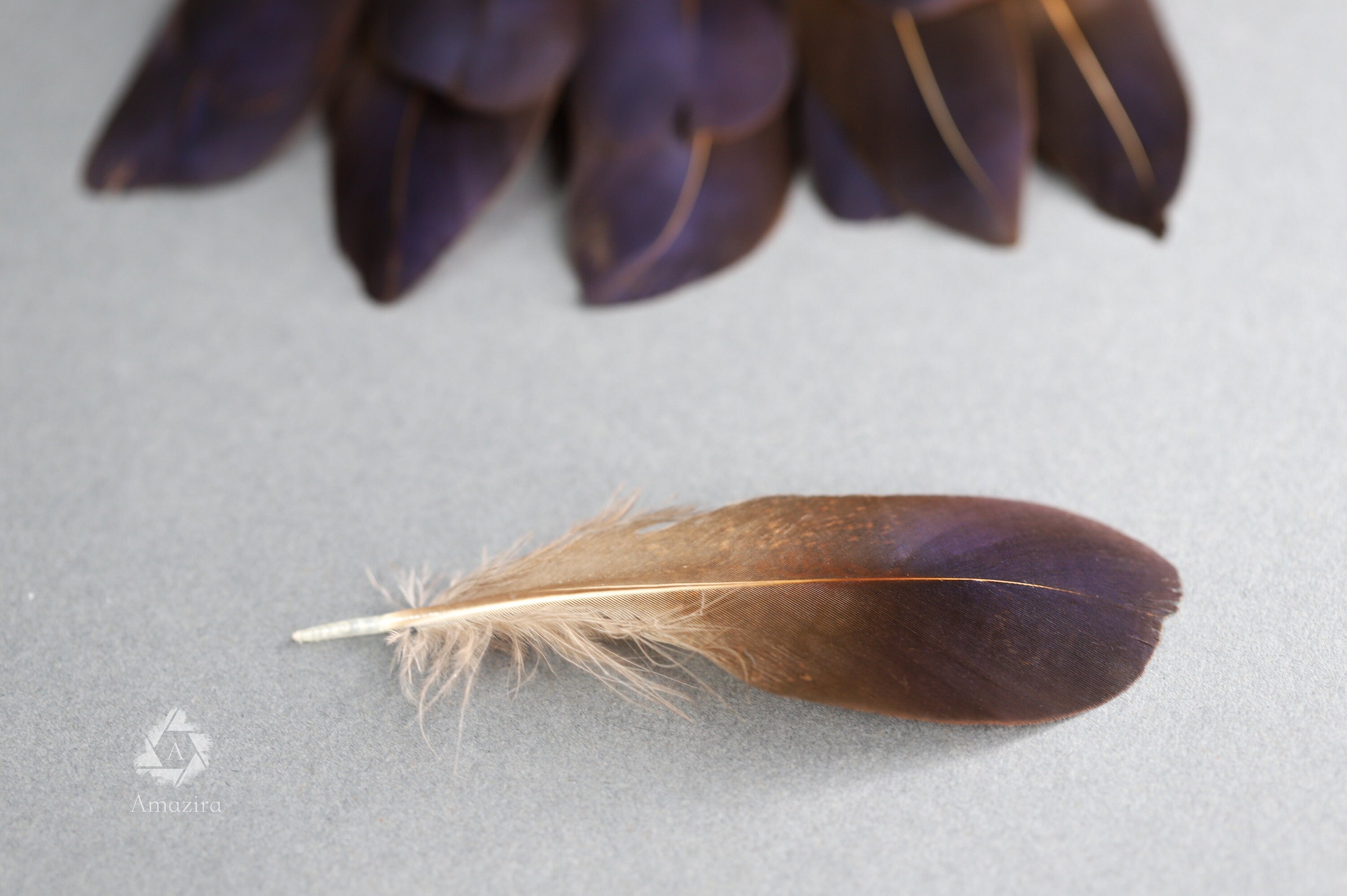 Rare Natural bronze feathers 5-7 cm, 2-3 inches