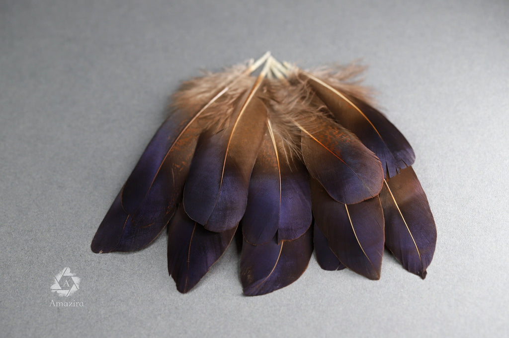 Rare Natural bronze feathers 5-7 cm, 2-3 inches