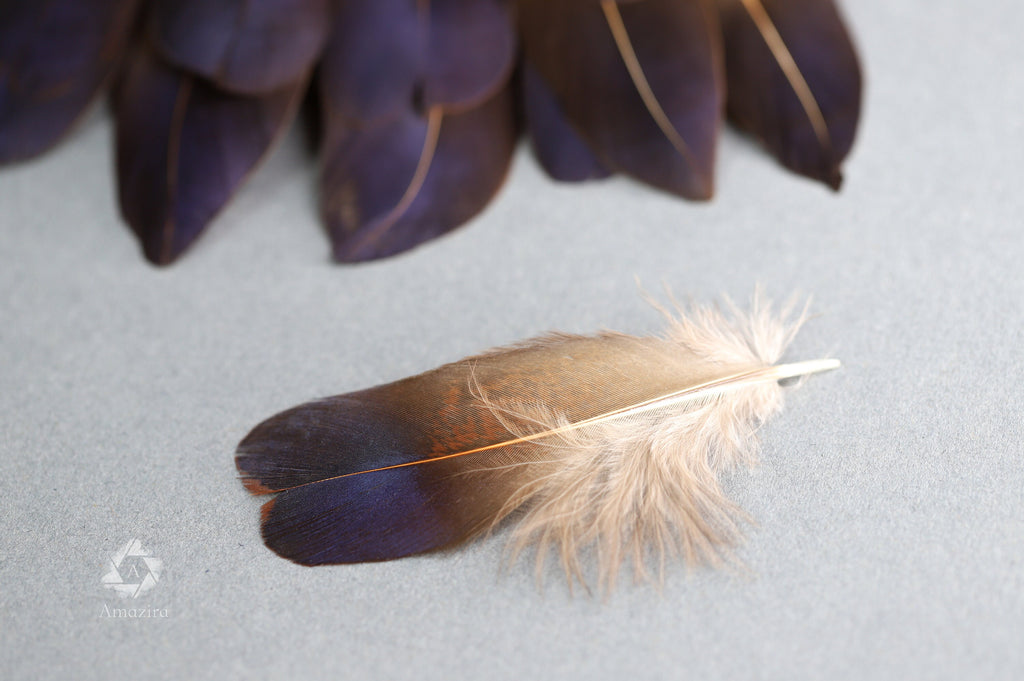 Rare Natural bronze feathers 5-7 cm, 2-3 inches