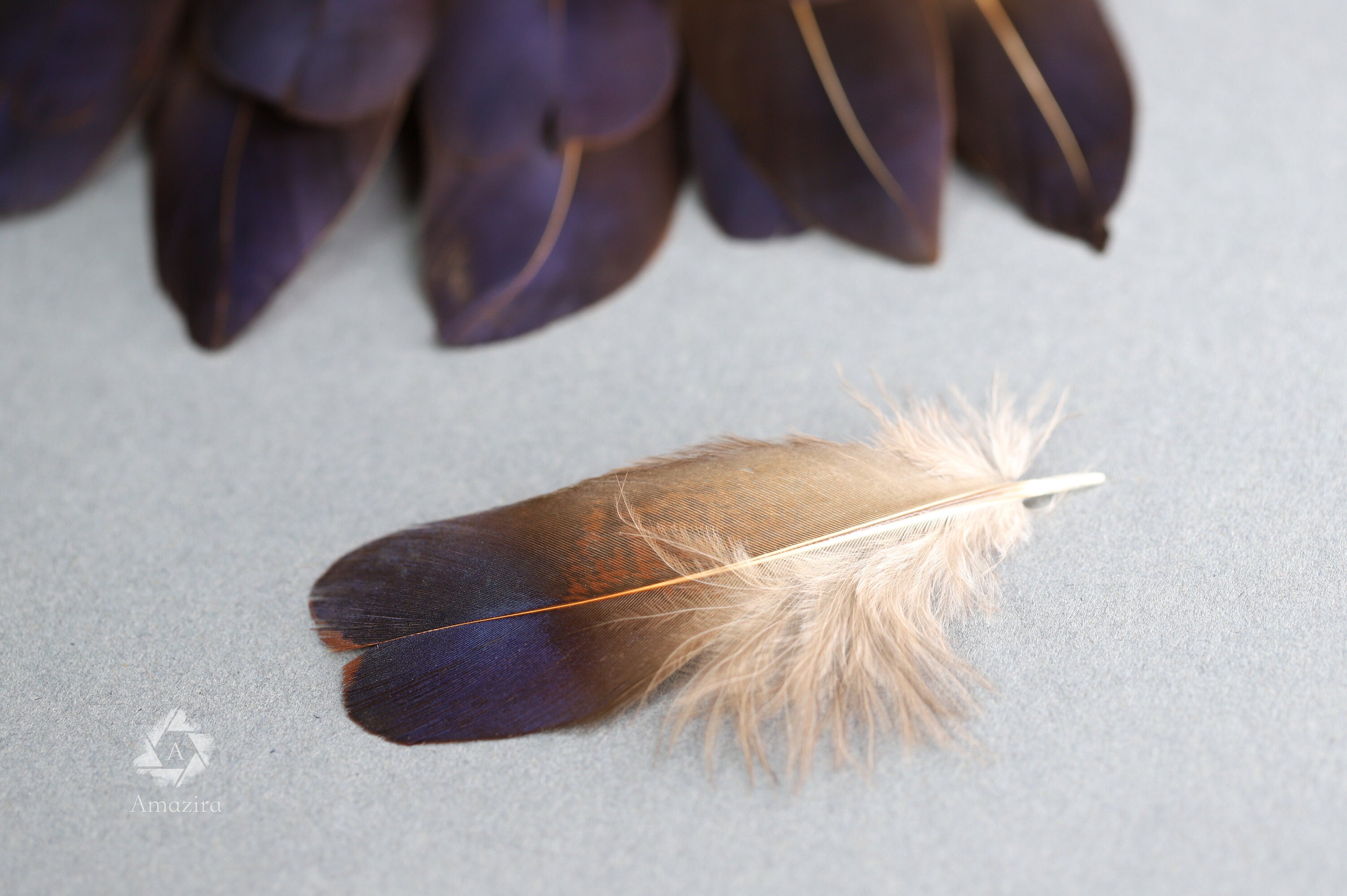 Rare Natural bronze feathers 5-7 cm, 2-3 inches