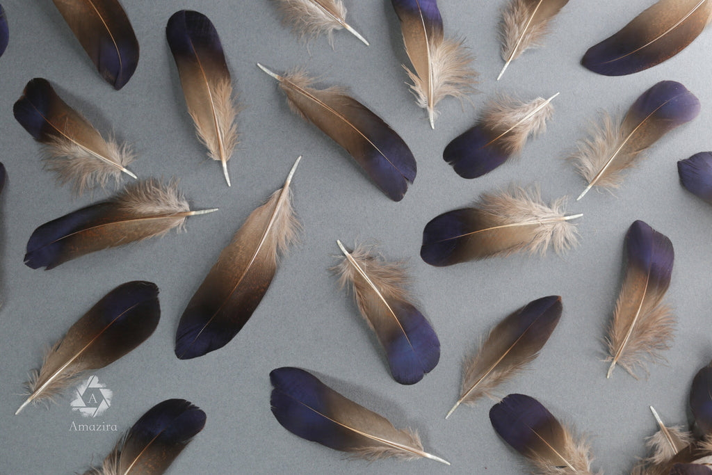 Rare Natural bronze feathers 5-7 cm, 2-3 inches
