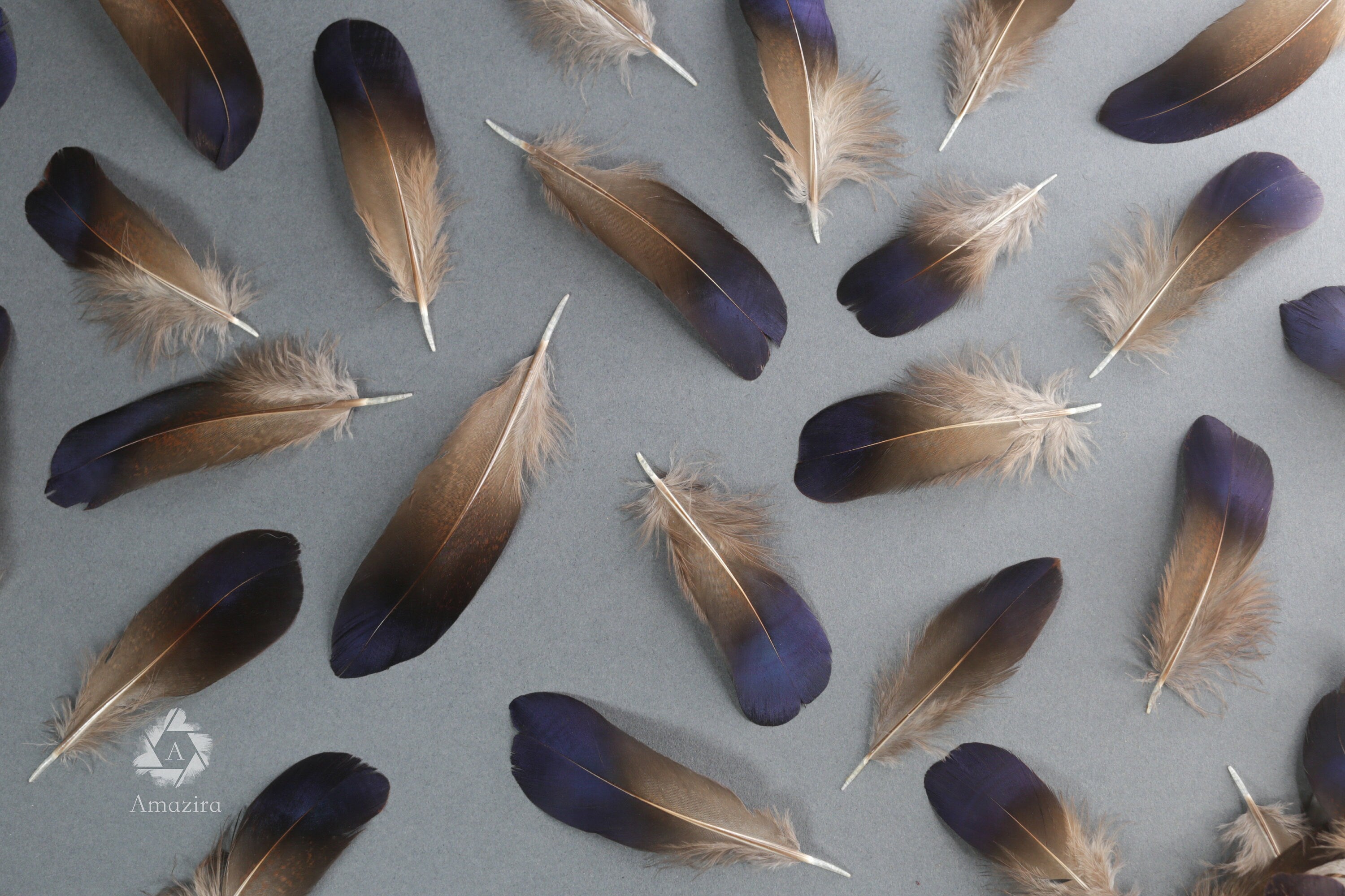Rare Natural bronze feathers 5-7 cm, 2-3 inches