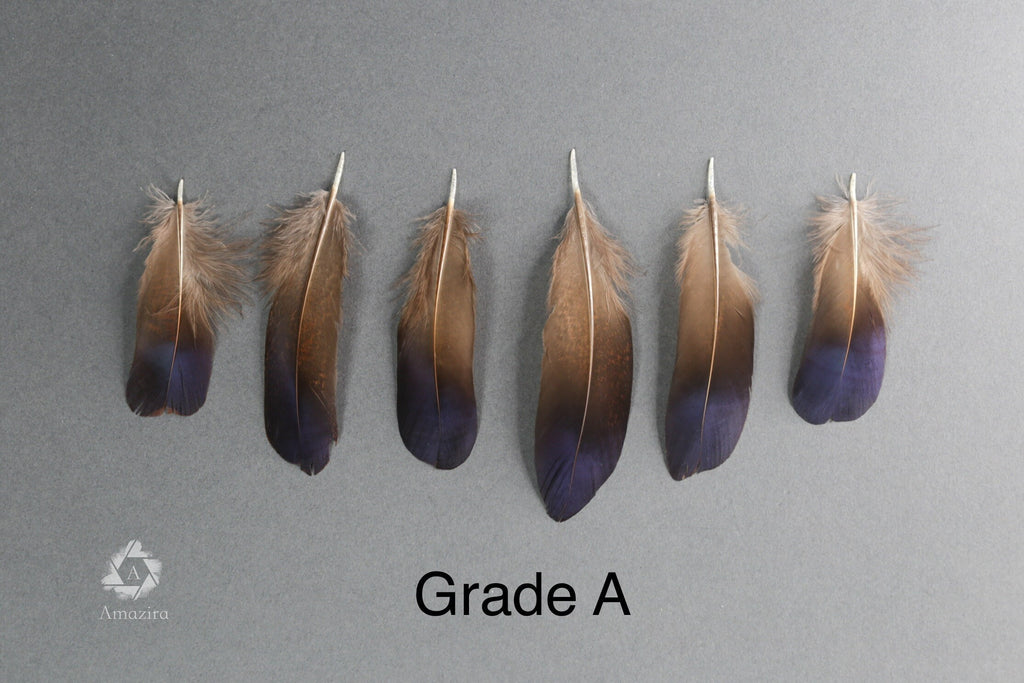 Rare Natural bronze feathers 5-7 cm, 2-3 inches