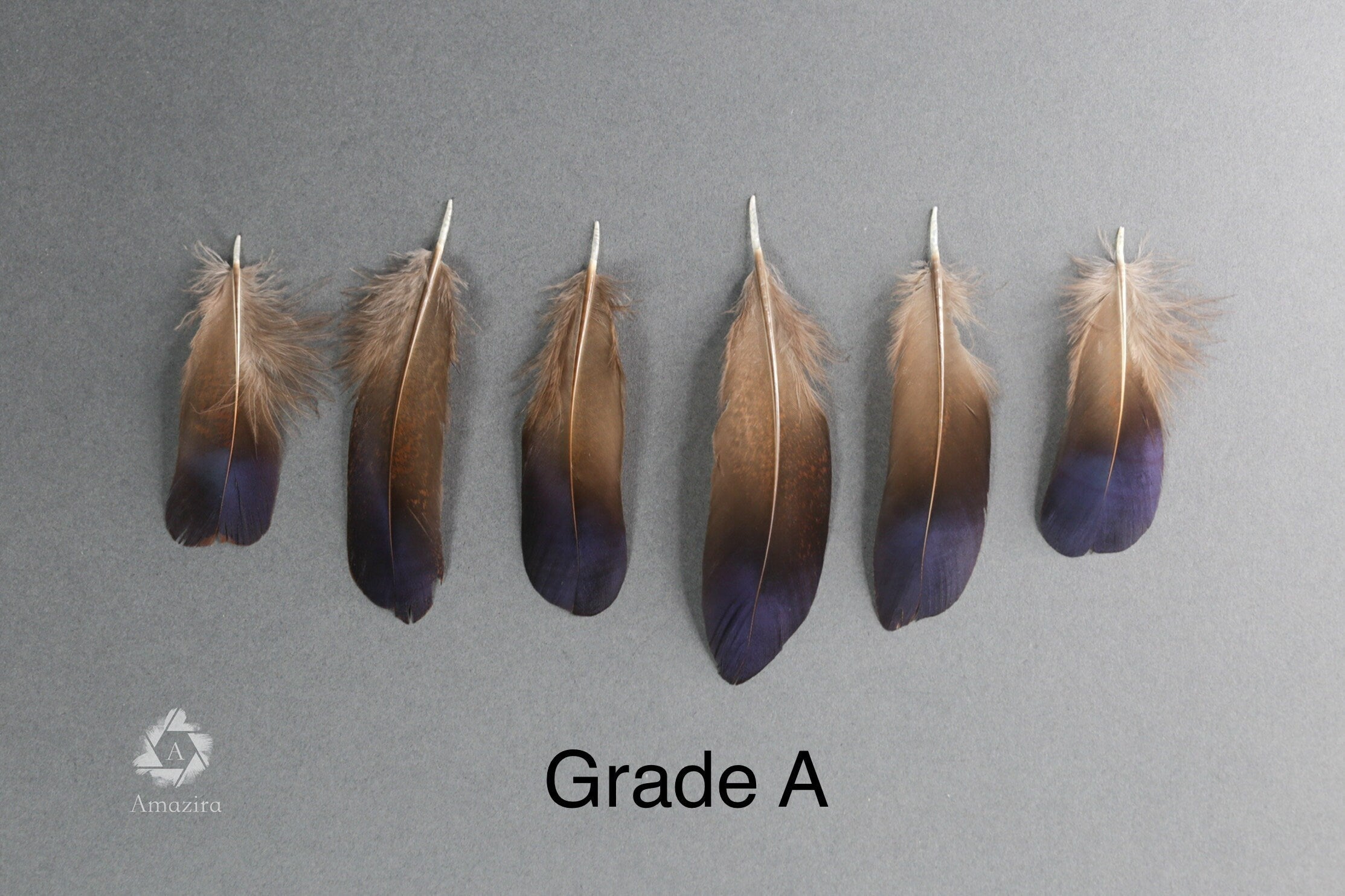 Rare Natural bronze feathers 5-7 cm, 2-3 inches