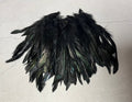 100 defective rooster feathers