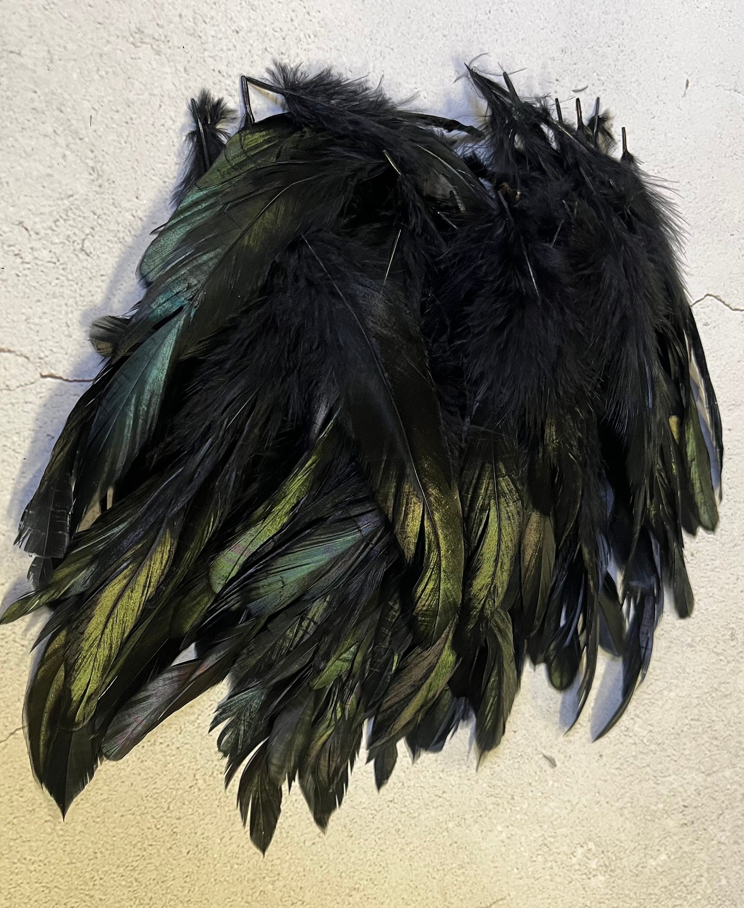 100 defective rooster feathers