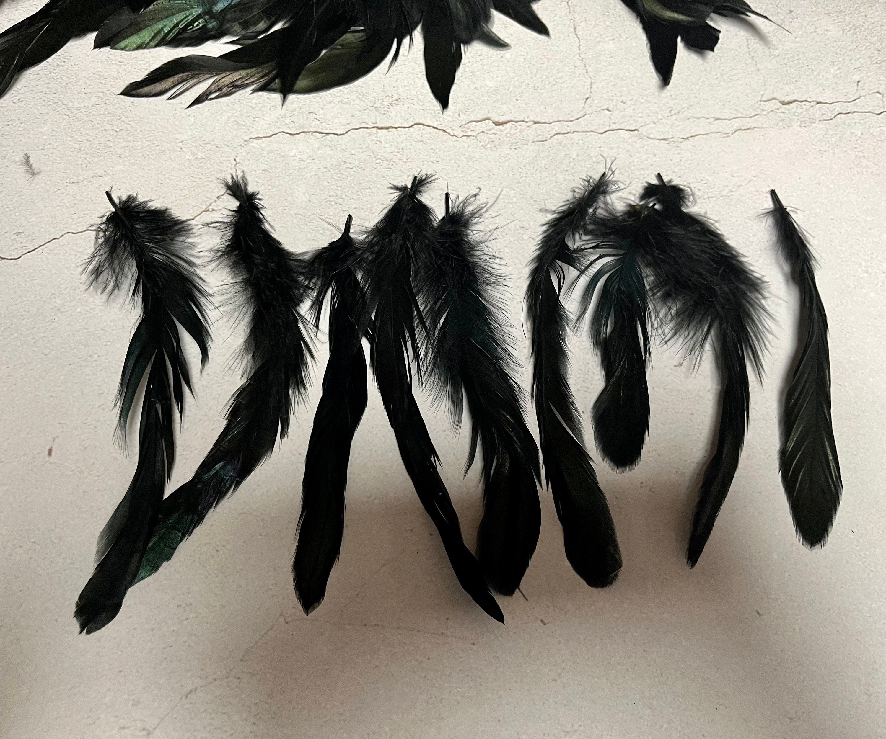 100 defective rooster feathers