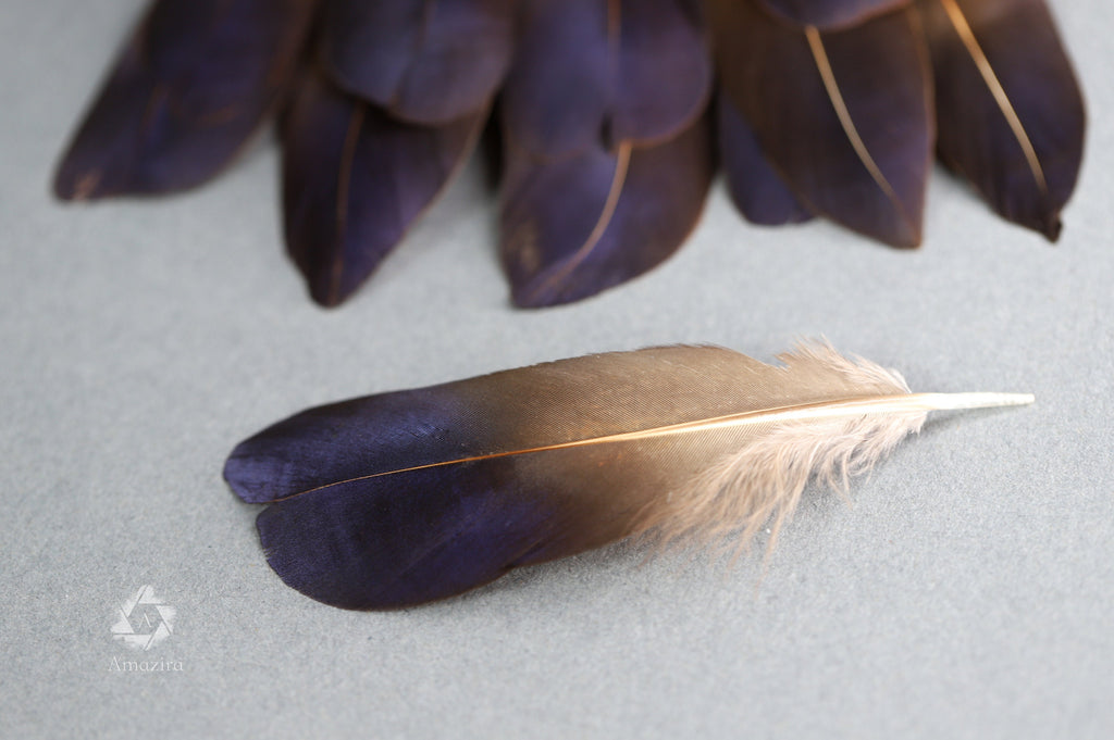 Rare Natural bronze feathers 5-7 cm, 2-3 inches