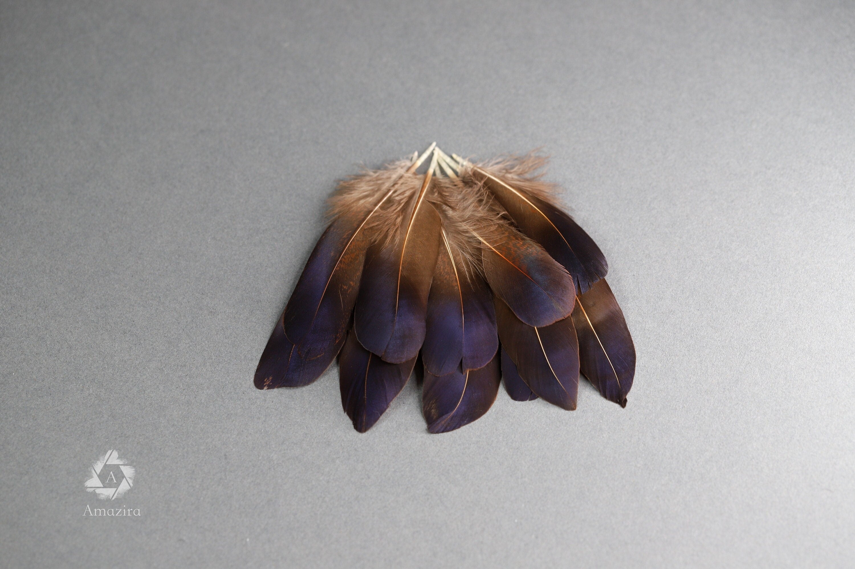 Rare Natural bronze feathers 5-7 cm, 2-3 inches