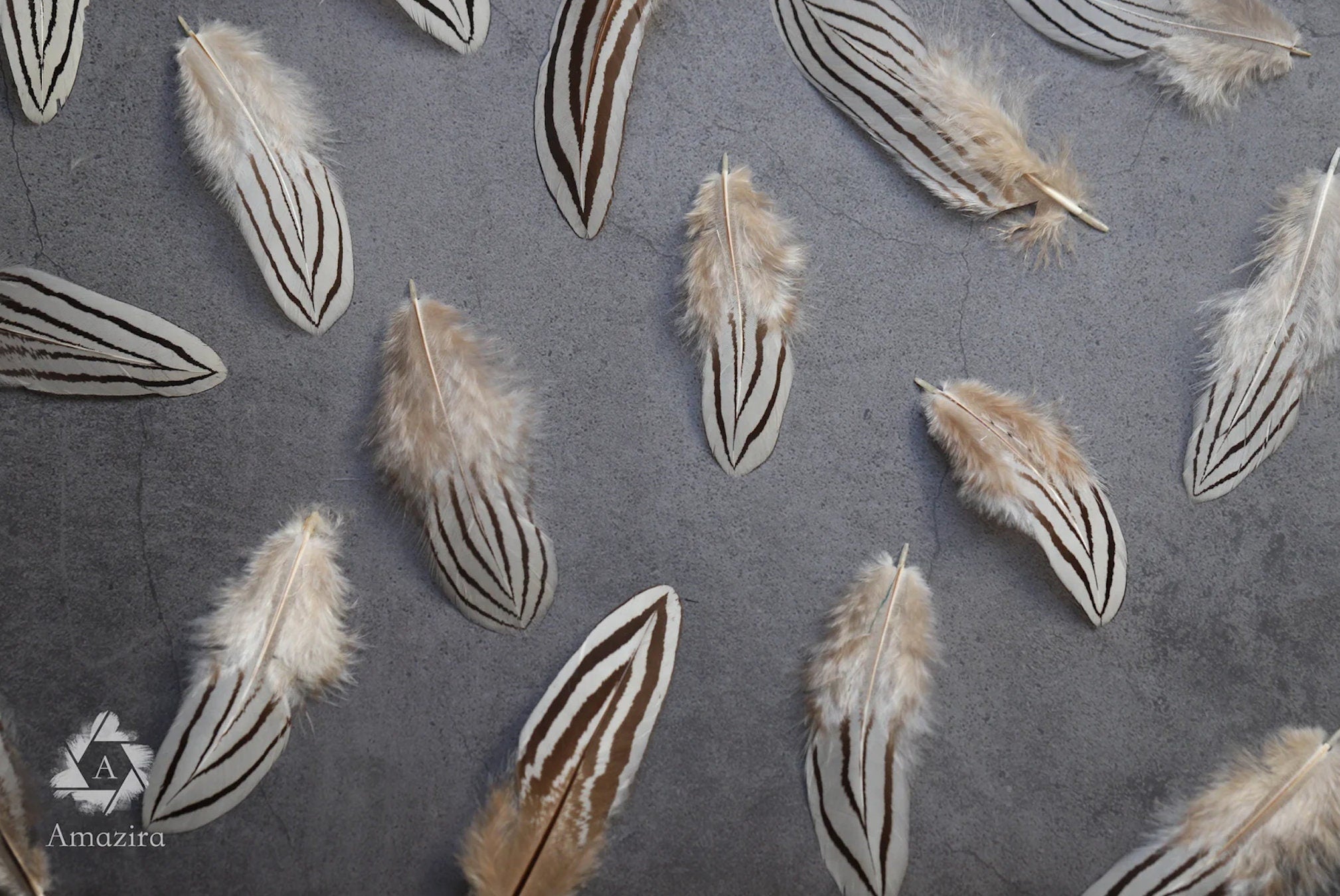 10 Natural Feathers packs