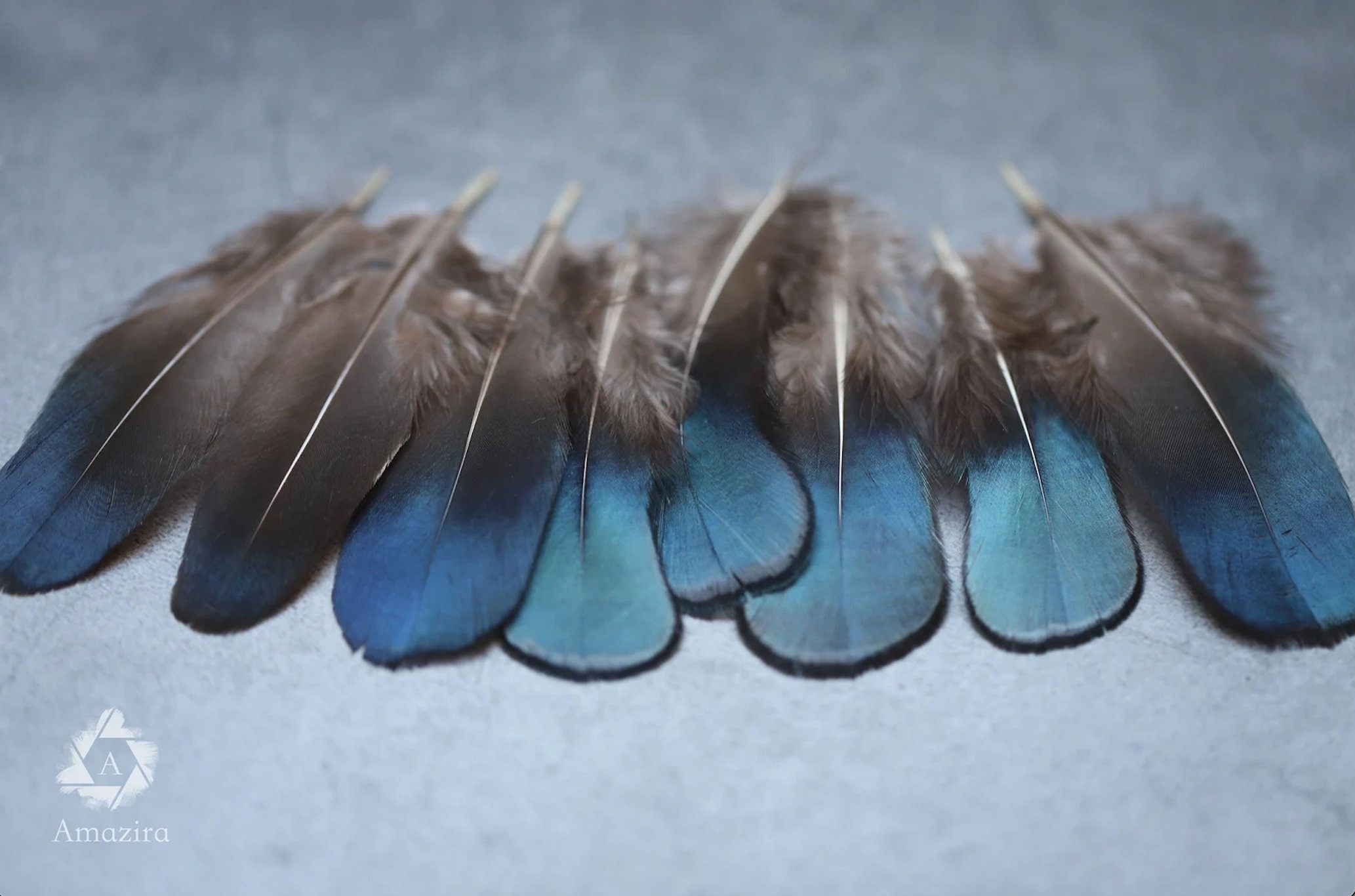 10 Natural Feathers packs