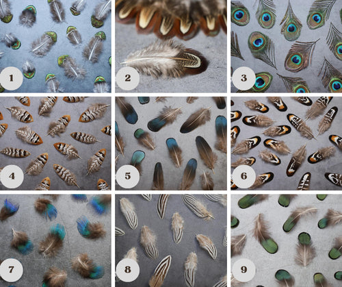 10 Natural Feathers packs