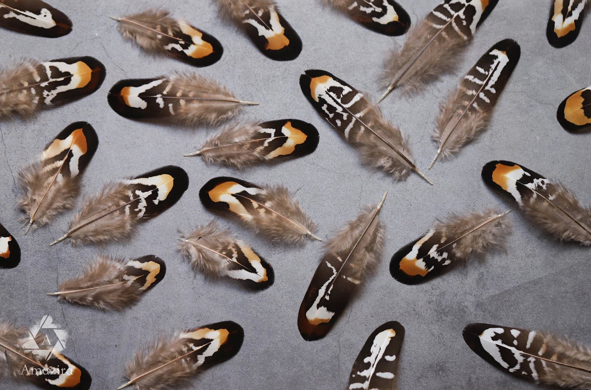 10 Natural Feathers packs