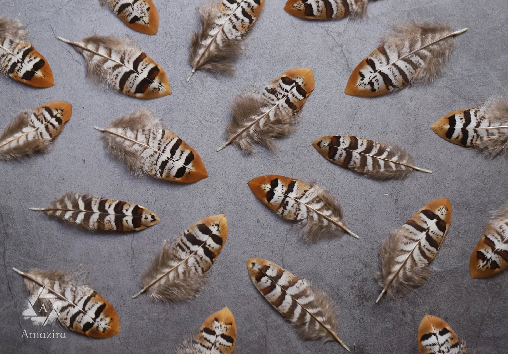 10 Natural Feathers packs