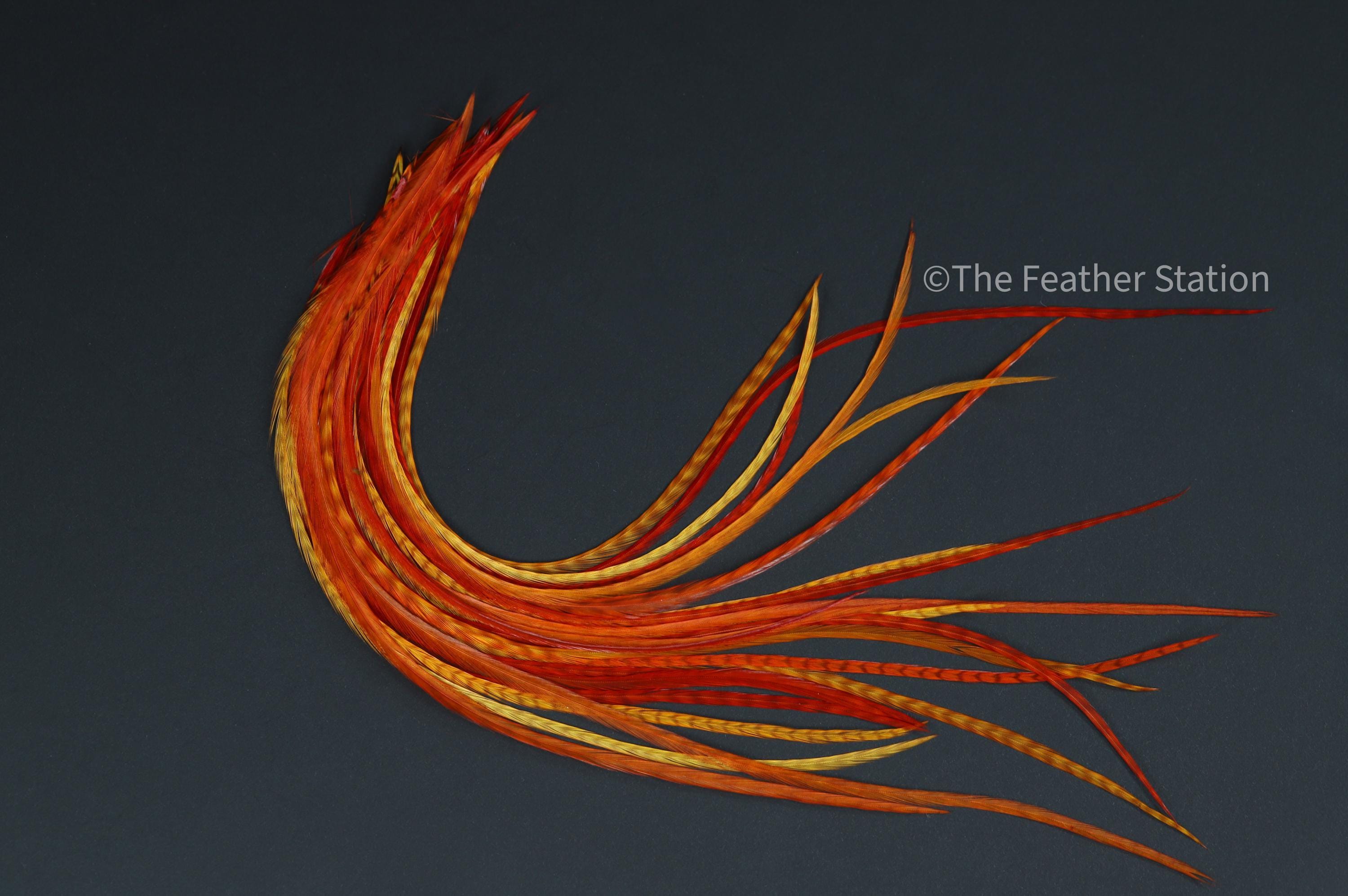 Sunset Real Feather hair extension kit, 20-25 cm / 9-11'' bright Red & Orange striped, boho hippie festival summer accessories