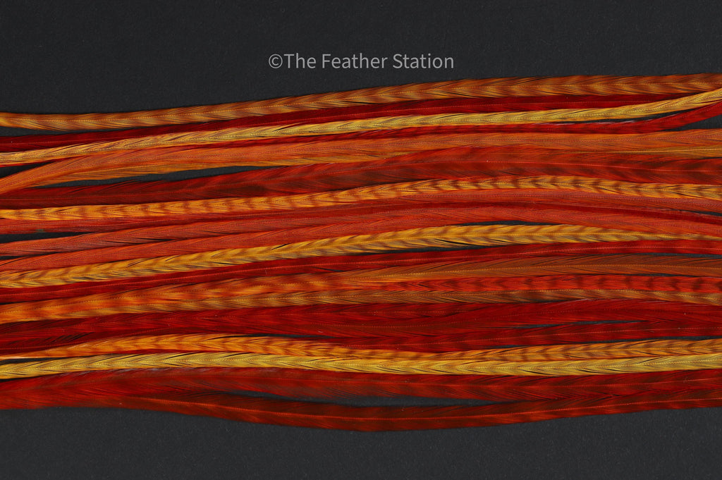 Sunset Real Feather hair extension kit, 20-25 cm / 9-11'' bright Red & Orange striped, boho hippie festival summer accessories