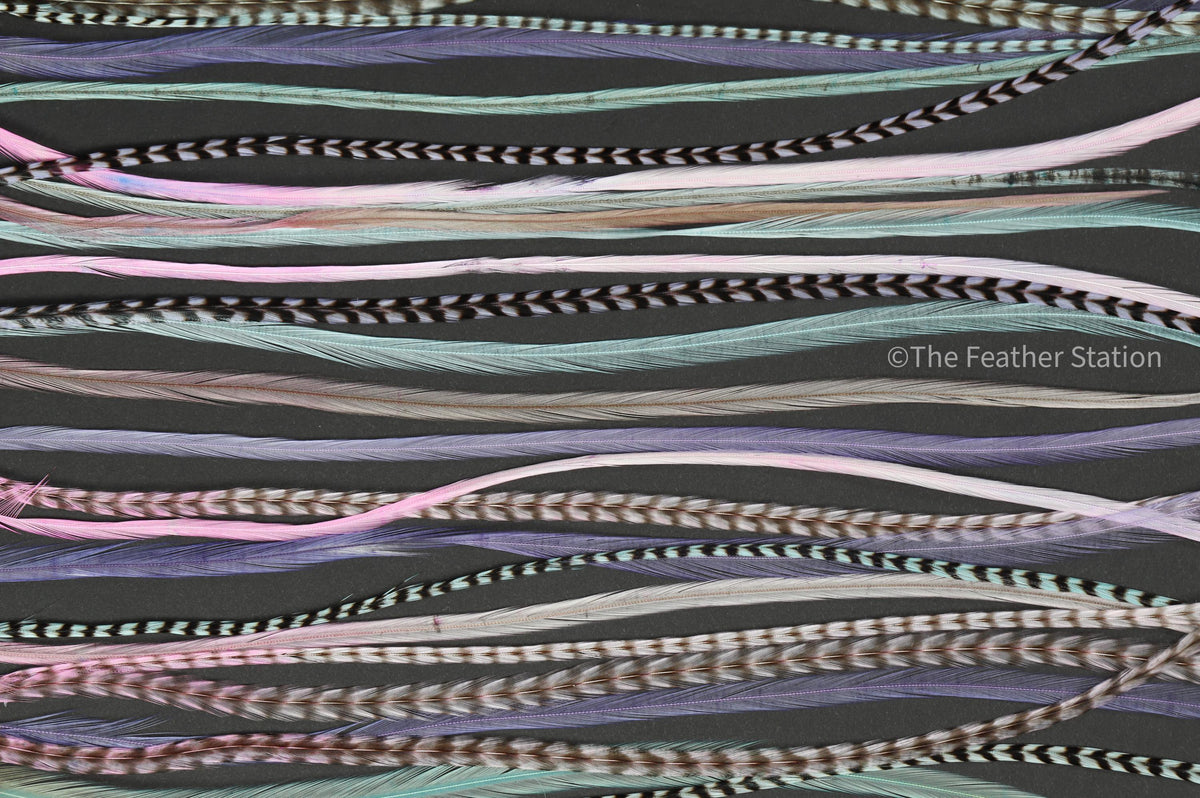 Pastel colour Feather hair extension kit