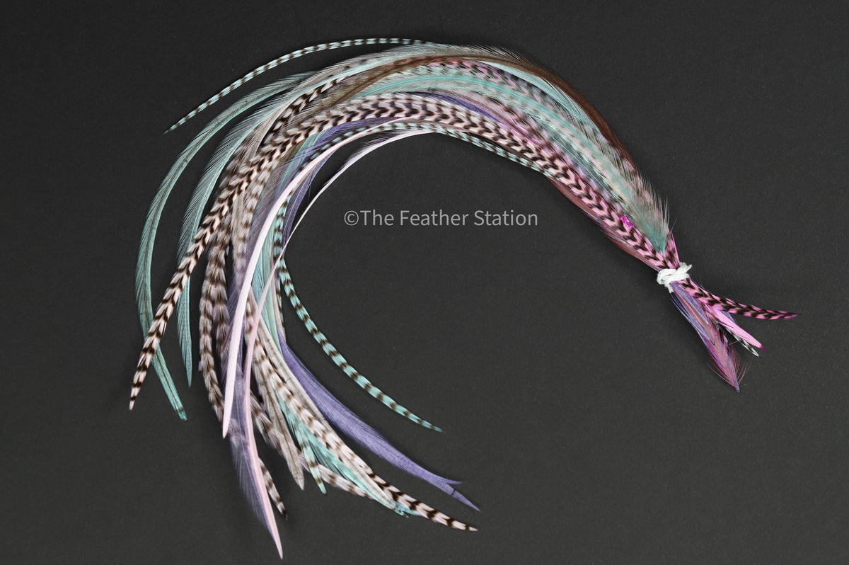 Pastel colour Feather hair extension kit